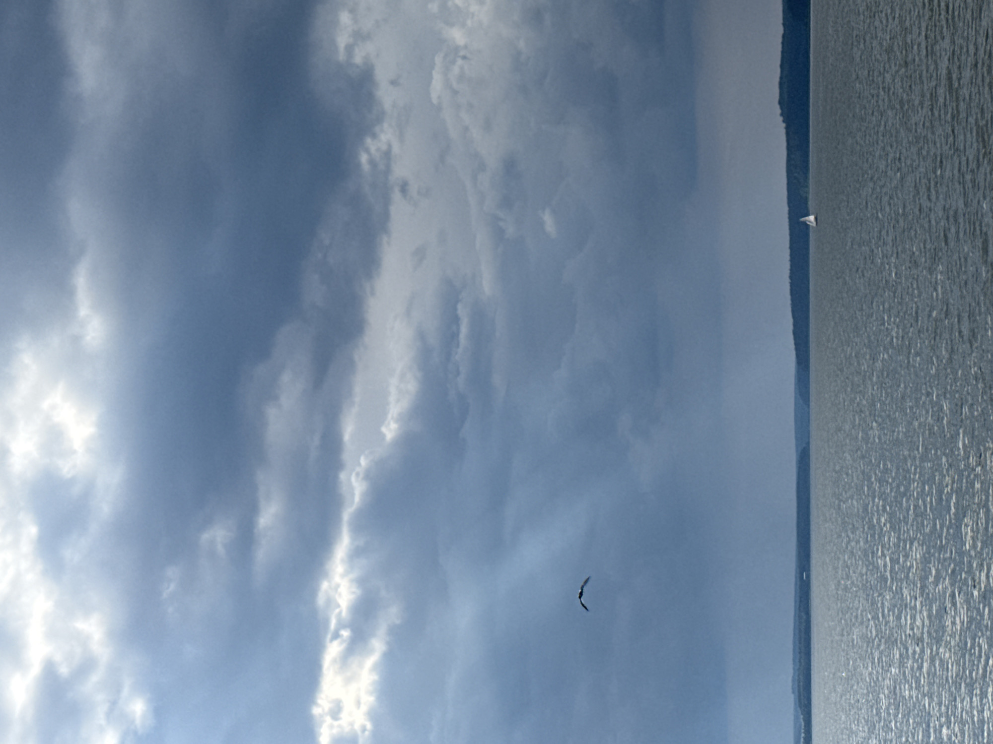 The image depicts a wide, calm body of water, likely a reservoir or large river, under a dramatic, overcast sky. Dark, heavy clouds dominate the upper portion of the frame, with shafts of sunlight piercing through in a few places, creating a dramatic contrast. In the mid-ground, a single bird is in flight, its wings outstretched. In the distance, a faint treeline forms the horizon, and a small sailboat is visible on the water. The scene suggests a moody, perhaps impending, weather event. The location is identified as Votkinsk, Russia, which is known for its reservoir on the Kama River, a location that fits the visual elements.