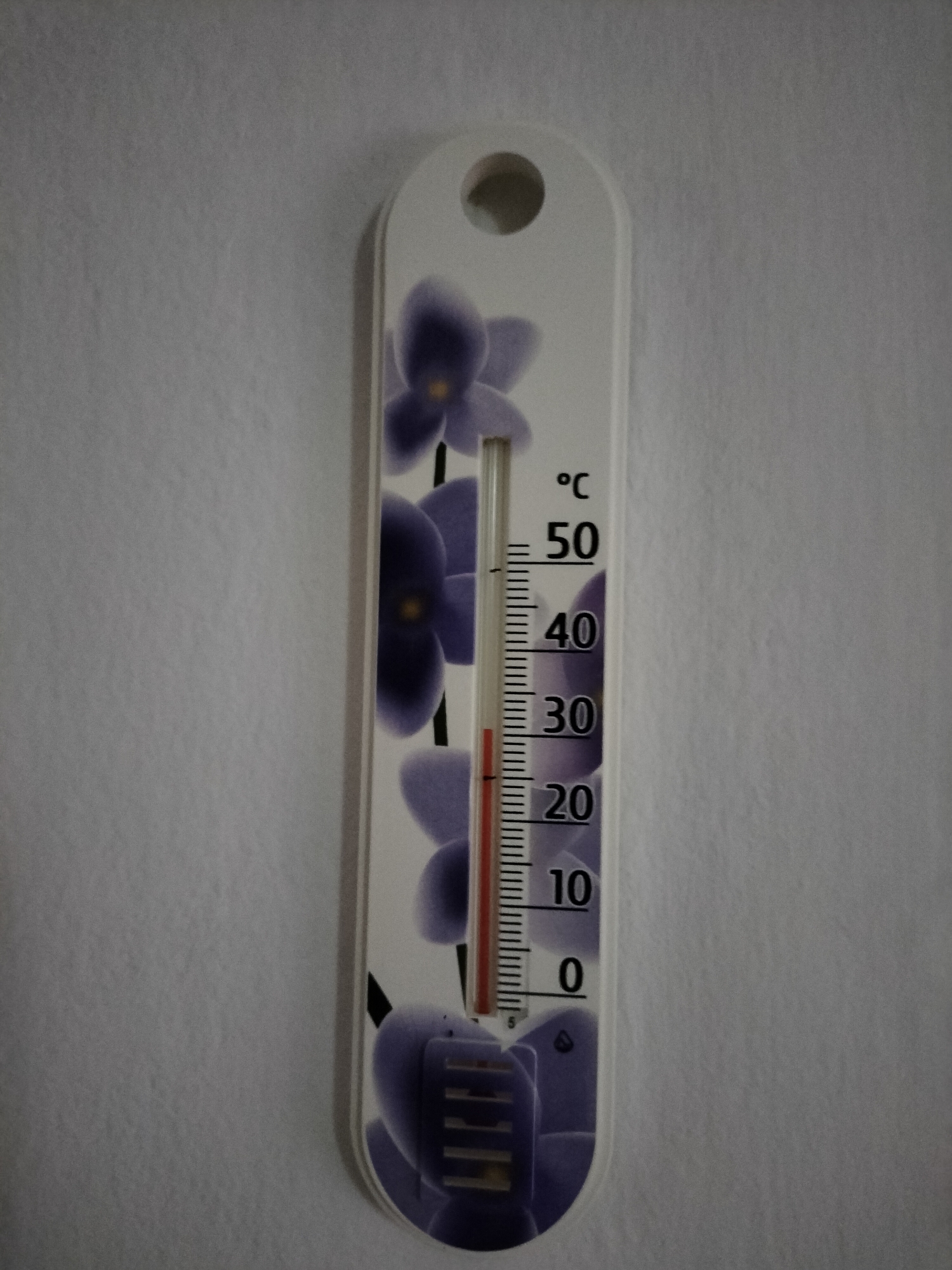A thermometer is displayed vertically against a light-colored, textured wall. The thermometer features a decorative design of purple flowers and a white background. It has a clear glass tube containing a red liquid that indicates the temperature. The scale is marked in degrees Celsius (°C), with numerical labels for 0, 10, 20, 30, 40, and 50. The red liquid level is positioned between the 20 and 30 degree marks, specifically closer to the 20 degree mark. The top of the thermometer has a hole for hanging. There is no information in the image that would indicate a specific location in České Budějovice, Czechia.