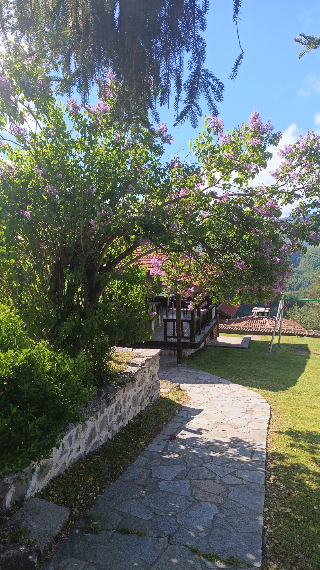 The image shows a stone pathway leading to a building with a red-tiled roof and a wooden deck in Vrata, Bulgaria. The pathway is bordered by a stone wall on the left and a grassy lawn on the right. A large lilac bush with purple flowers hangs over the pathway, casting shadows on the stones. A pine tree branch is visible in the upper part of the image. A swing set is visible in the background on the right. The sky is blue with some white clouds.