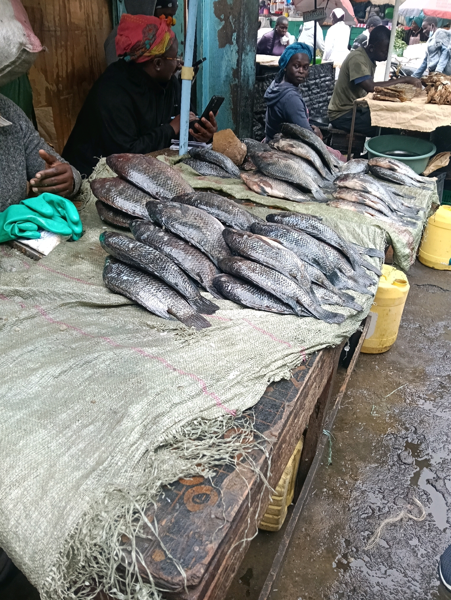 At a market stall in Nairobi, Kenya, an outdoor scene depicts a fish vendor and her goods. In the foreground, a large quantity of fresh fish lies on a coarse, burlap-like cloth. The fish are silver-scaled and appear to be tilapia, with their tails fanned out. A person wearing a grey sweater and green gloves is partially visible on the left, seemingly interacting with the fish or a customer. Behind the fish, a woman with a colorful headscarf and glasses is focused on her smartphone. She is dressed in a black jacket. To the right, more fish are arranged on a wooden table, and two large yellow plastic containers are visible. The ground is wet and appears to be paved with a dark, uneven material, suggesting recent rain. Other market activities are faintly visible in the background, including people and stalls under awnings.