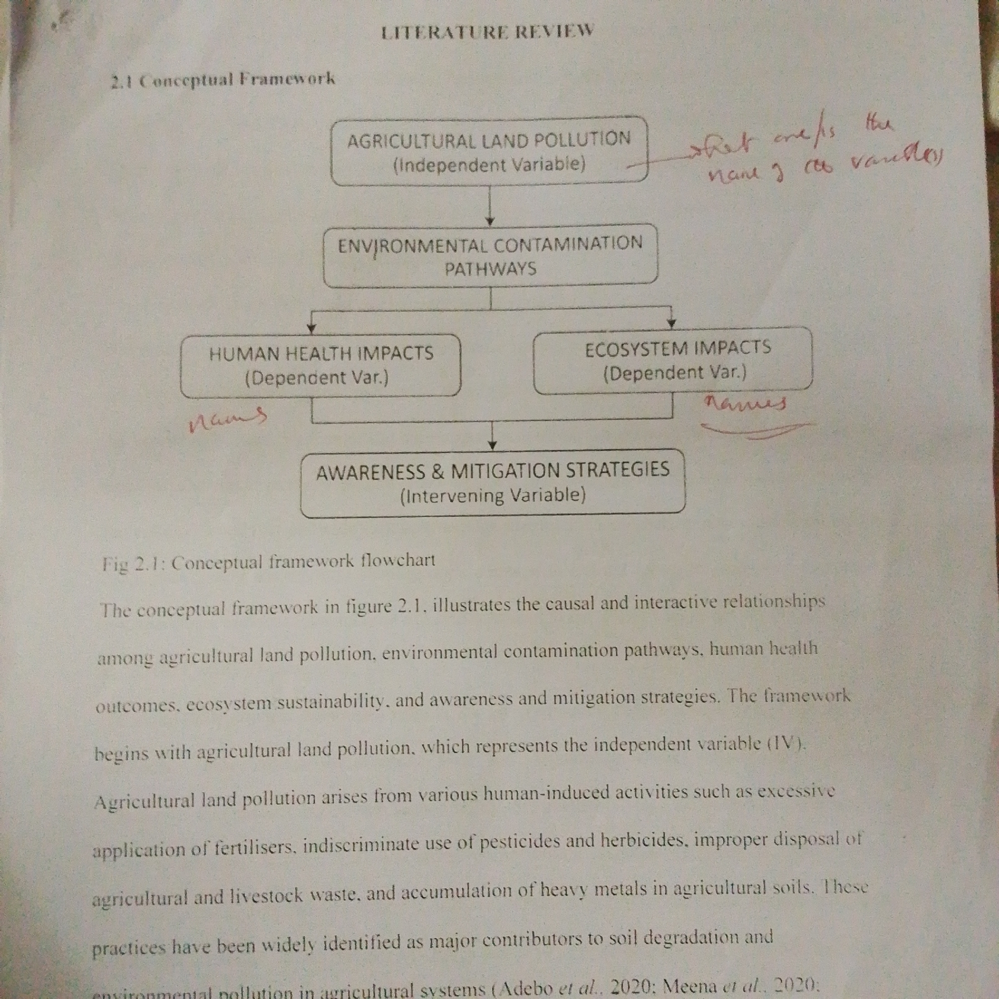 The image is a document page titled "LITERATURE REVIEW" and "2.1 Conceptual Framework". It contains a flowchart illustrating the relationships between "AGRICULTURAL LAND POLLUTION (Independent Variable)", "ENVIRONMENTAL CONTAMINATION PATHWAYS", "HUMAN HEALTH IMPACTS (Dependent Var.)", "ECOSYSTEM IMPACTS (Dependent Var.)", and "AWARENESS & MITIGATION STRATEGIES (Intervening Variable)". There are handwritten notes on the flowchart, including "what are/is the name of the variables)" and "names". Below the flowchart is the caption "Fig 2.1: Conceptual framework flowchart" followed by explanatory text about the framework. The text discusses agricultural land pollution, environmental contamination pathways, human health outcomes, ecosystem sustainability, and awareness and mitigation strategies, noting that agricultural land pollution arises from human-induced activities like excessive fertilizer use, pesticide application, and waste disposal.
The location of Jauro Yinu, Nigeria, is not mentioned anywhere in the provided image. Therefore, no description of this location can be provided based on this image.