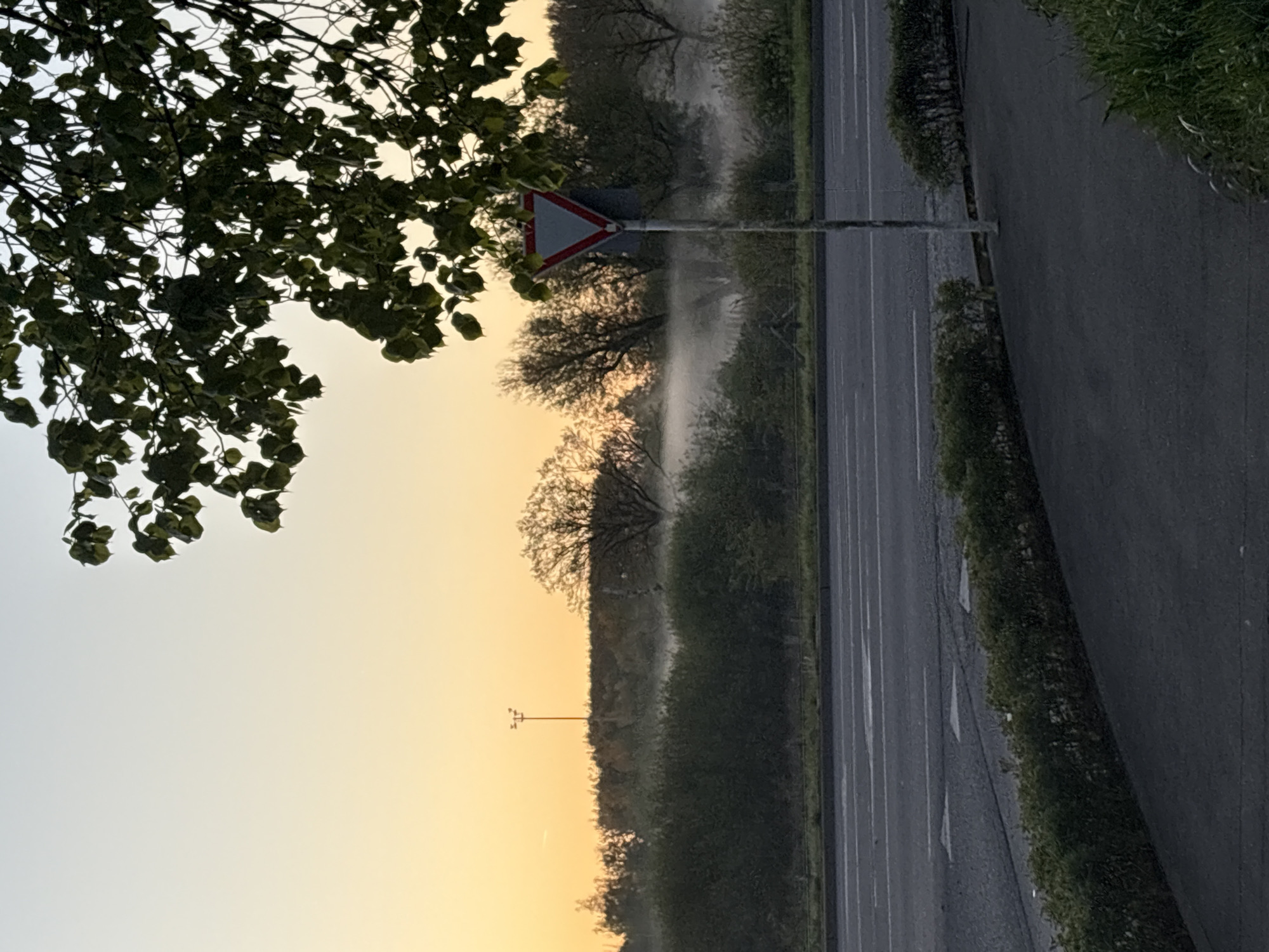 The image presents a serene roadside landscape, captured likely at dawn or dusk in Esch-sur-Alzette, Luxembourg. The sky transitions from a pale blue-grey at the top to a warm, soft orange-yellow towards the horizon, suggesting either sunrise or sunset.
In the upper left foreground, dark green foliage and branches of a tree frame the scene against the light sky. Below this, a gentle mist or haze rises from the ground, creating an ethereal atmosphere that stretches across the mid-ground, partially obscuring distant trees and vegetation.
The right side of the image features a road with distinct white lane markings, indicating multiple lanes. Alongside the road, a dark paved shoulder or sidewalk is visible. A well-maintained green hedge or dense row of bushes separates the road from the misty area and more distant trees.
Centrally located, a triangular road sign with a red border and a white interior is mounted on a metal pole, standing out against the atmospheric backdrop. While the specific symbol inside is not clearly discernible, its shape is typical of European warning or give-way signs. Further in the mid-ground, a tall, slender utility pole or streetlight is silhouetted against the bright sky. No people or vehicles are visible, and no legible text can be identified on the sign or elsewhere. The overall impression is one of peaceful early morning or late evening tranquility.