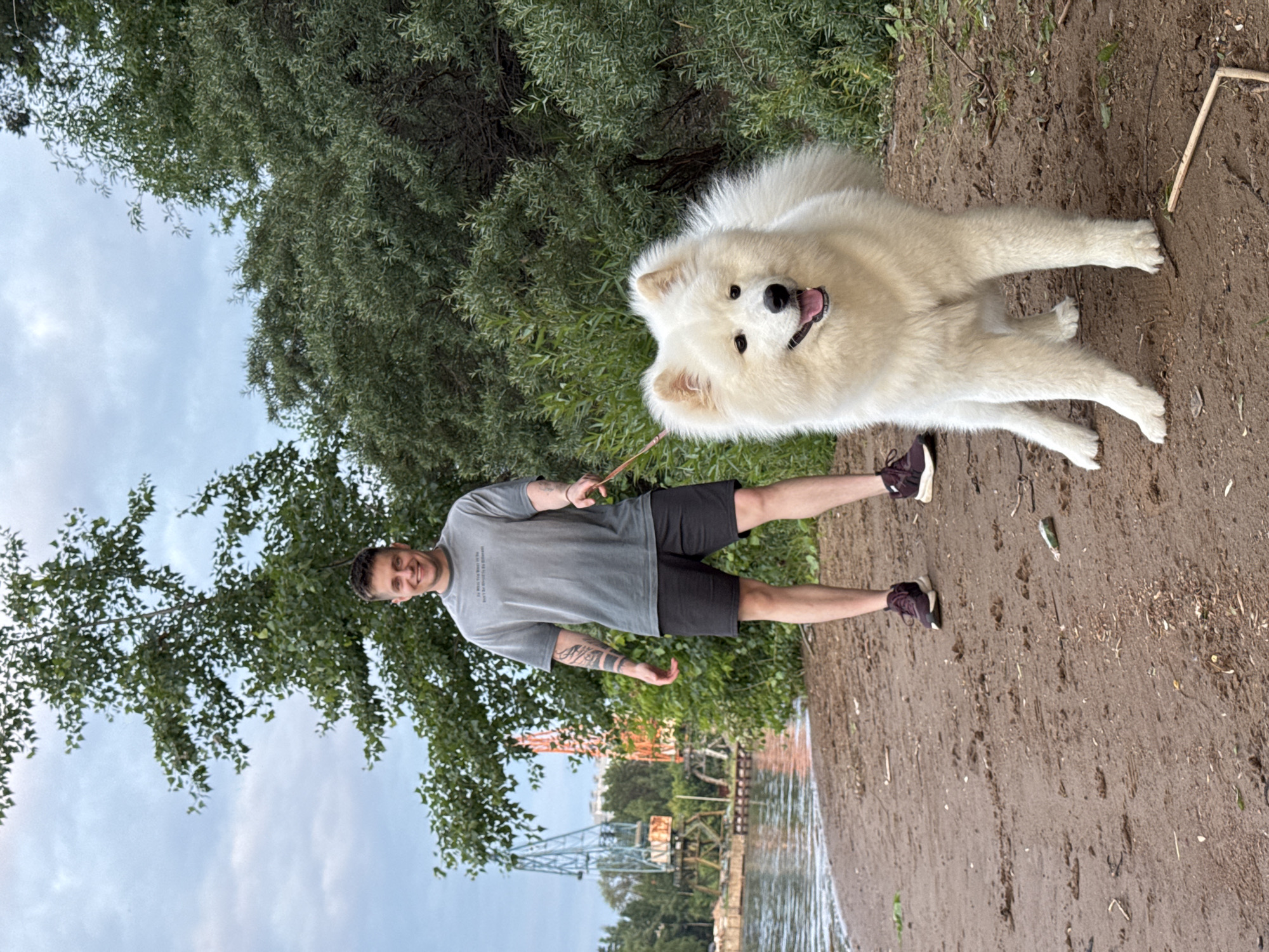 A man with a tattoo on his left arm and wearing a grey t-shirt and black shorts walks his white Samoyed dog on a sandy shore. The dog is in the foreground, facing the camera with its mouth open. The man is behind the dog, looking at the camera with a smile. In the background, there is a body of water, trees, and industrial cranes. This scene appears to be located on the Kama River embankment in Chaikovsky, Russia. The sky is overcast, and the lighting suggests it is either early morning or late afternoon.