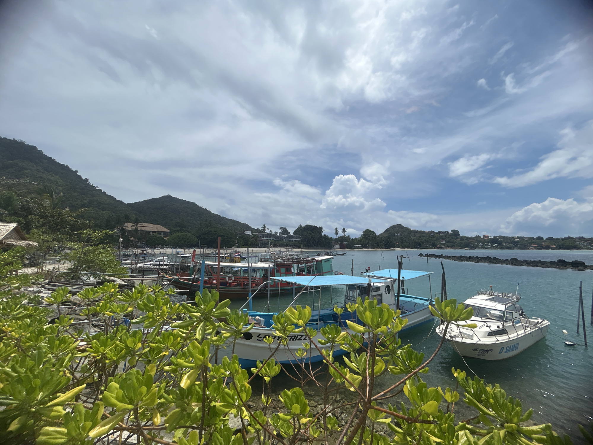 The image presents a coastal scene in Baan Chaweng Noi, Thailand, featuring a marina with several boats docked in calm, turquoise water. Lush green vegetation dominates the foreground, partially obscuring the view. A mix of fishing and recreational boats are visible, some with blue awnings. In the background, a densely vegetated hill and buildings line the shore. The sky is partly cloudy with patches of blue.
