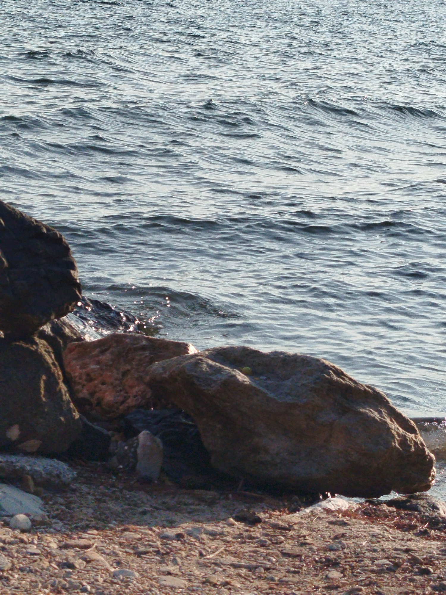 A body of water, likely the Aegean Sea, laps gently against a rocky shore. The water, a deep blue-grey, is textured with small, rippling waves that catch the sunlight, creating a shimmering effect. The shoreline is composed of various-sized rocks, from small pebbles to larger boulders, some of which are partially submerged in the water. The rocks vary in color, with shades of grey, brown, and reddish-orange. The ground is covered in a mixture of sand and small stones. The image appears to be taken at a low angle, looking towards the water from the shore. The scene is devoid of any human presence or artificial structures, suggesting a natural coastal environment. The location is the coastline of Sithonia Municipal Unit, Greece.