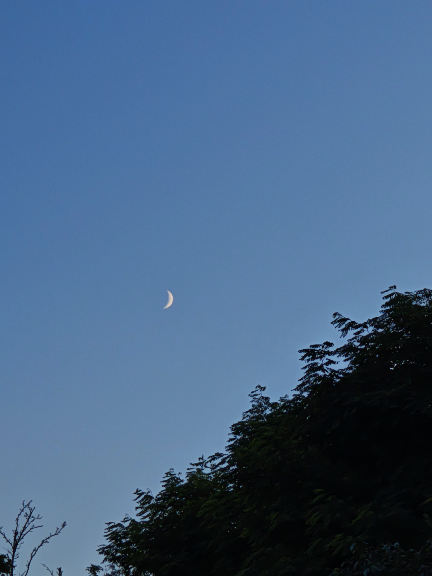 A crescent moon is visible in the clear blue sky above a silhouetted tree line in Parkhomivka, Ukraine. The moon is small and located in the upper left quadrant of the image. The trees are dark green and form a jagged line across the bottom of the frame. The sky is a gradient of light blue at the bottom to a deeper blue at the top.