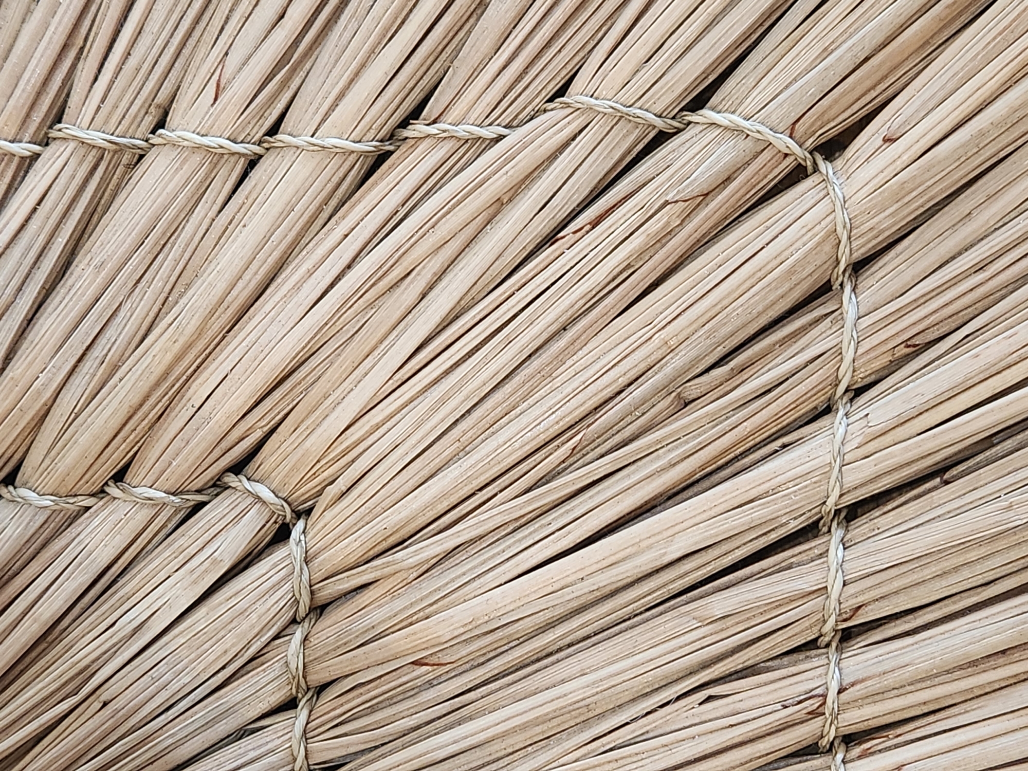 The image is a close-up, overhead shot of a thatched roof. The material is made of bundles of dry, light brown straw or reeds, held together by thin, twisted twine that forms a crisscross pattern. The lighting is even, with no strong shadows, suggesting it might be overcast or the sun is high. The texture of the straw is prominent, with individual strands visible, and the overall impression is one of natural, rustic construction. There are no people, animals, or other objects visible in the frame, and the scene is devoid of any specific landmarks or environmental cues that would indicate a location within Maitland, United States of America.