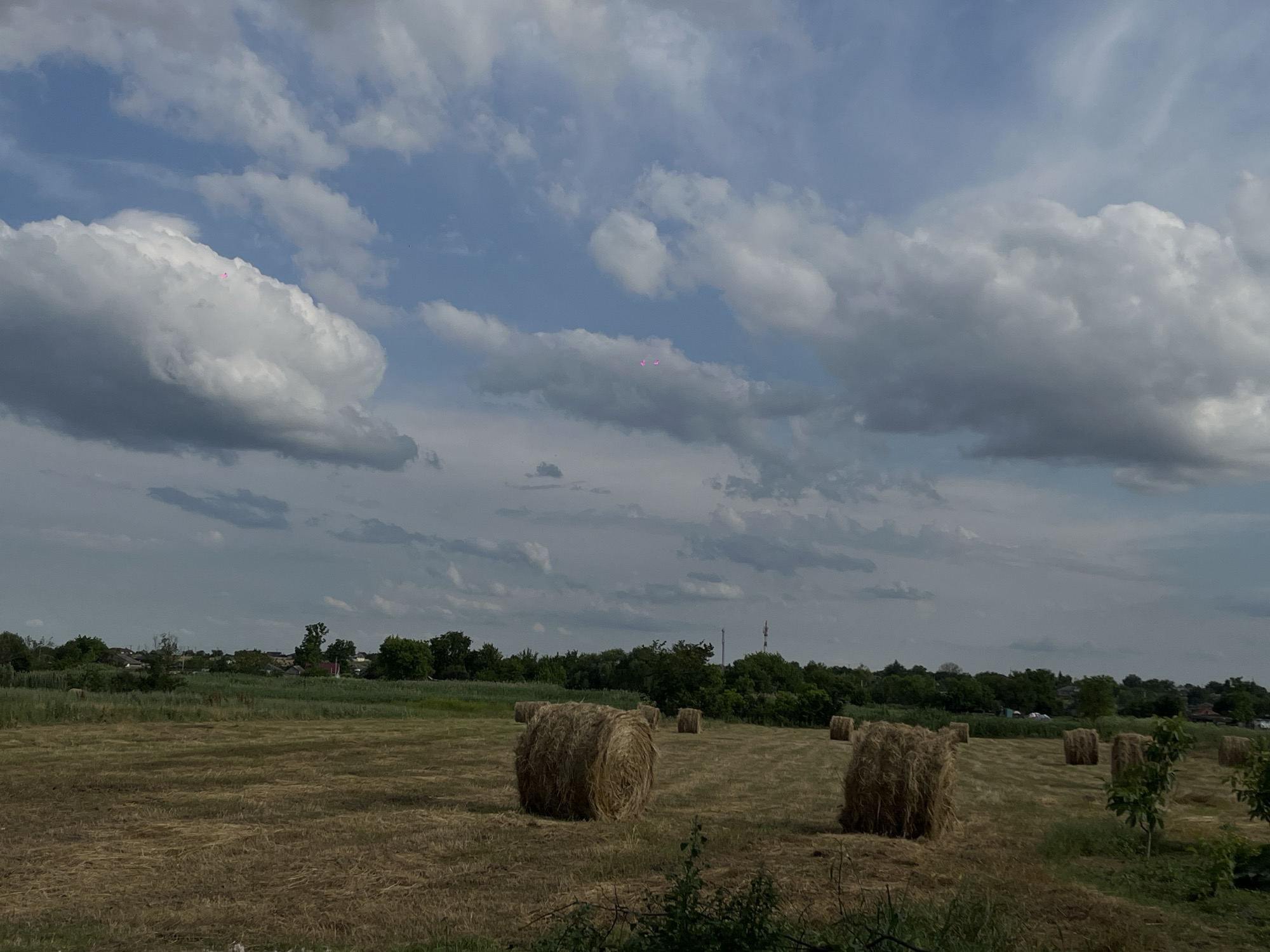 This is a medium-shot, outdoor photograph taken on a cloudy day in a rural setting, likely during daylight hours. The foreground features a mown field with several large, cylindrical hay bales scattered across it. These bales are predominantly brown and appear to be made of dried grass or straw. The field itself is covered in stubble and dried vegetation.
In the mid-ground, a line of trees forms a dense green border separating the field from a distant village. The village is comprised of small houses with red roofs, interspersed with more trees. Beyond the village, a tall tower, possibly a telecommunication mast, is visible. The sky is filled with large, white and grey cumulus clouds, obscuring much of the sun, suggesting overcast or partly cloudy conditions.
A subtle detail is the presence of three small, bright pink or magenta, abstract shapes floating in the sky, towards the upper left quadrant of the image. Their nature is unclear from the image alone, but they appear artificial and are likely the focus of attention for a zoomed-in view.
The overall impression is one of a quiet, rural landscape after a harvest, under a dynamic sky. The image conveys a sense of peace and natural beauty, with the small pink objects adding an unexpected and intriguing element. There is no visible text in the image.