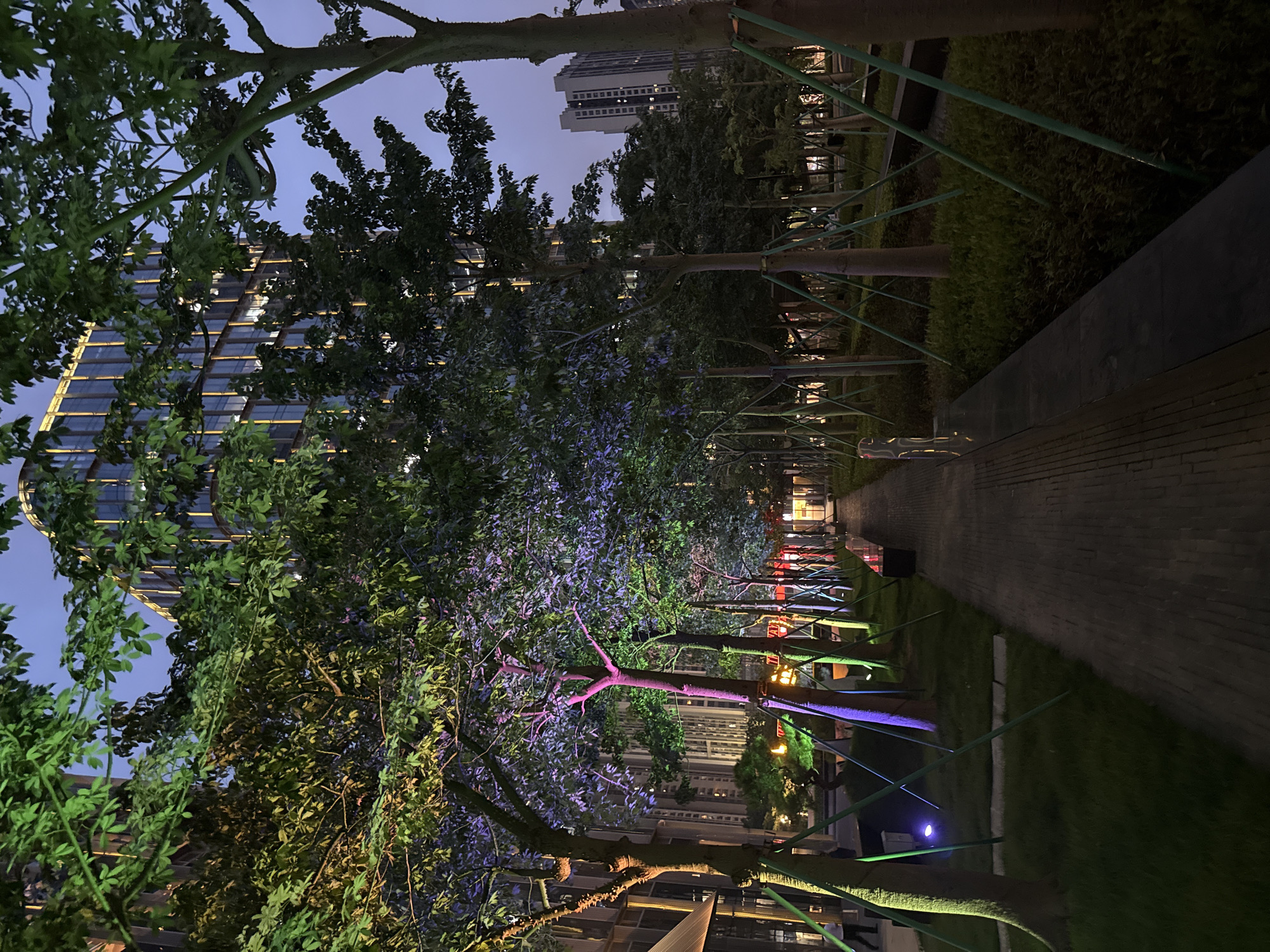 This image depicts a modern urban park scene at dusk in Haizhu District, China. A paved walkway, constructed with brick-like material, bisects the frame, leading towards a distant building. On either side of the walkway are manicured trees, some of which are illuminated with colored lights, casting vibrant hues of green and purple onto their foliage and trunks. These trees are supported by a network of green stakes. In the background, contemporary, multi-story buildings with illuminated windows loom, suggesting a densely populated urban environment. The sky is a twilight blue. A dark bench is visible along the right side of the walkway, and a portion of a dark-colored planter box is present in the foreground on the right. In the far left background, a person in dark clothing is walking away from the camera. The overall impression is one of a well-lit, landscaped urban public space designed for relaxation and aesthetic appeal.