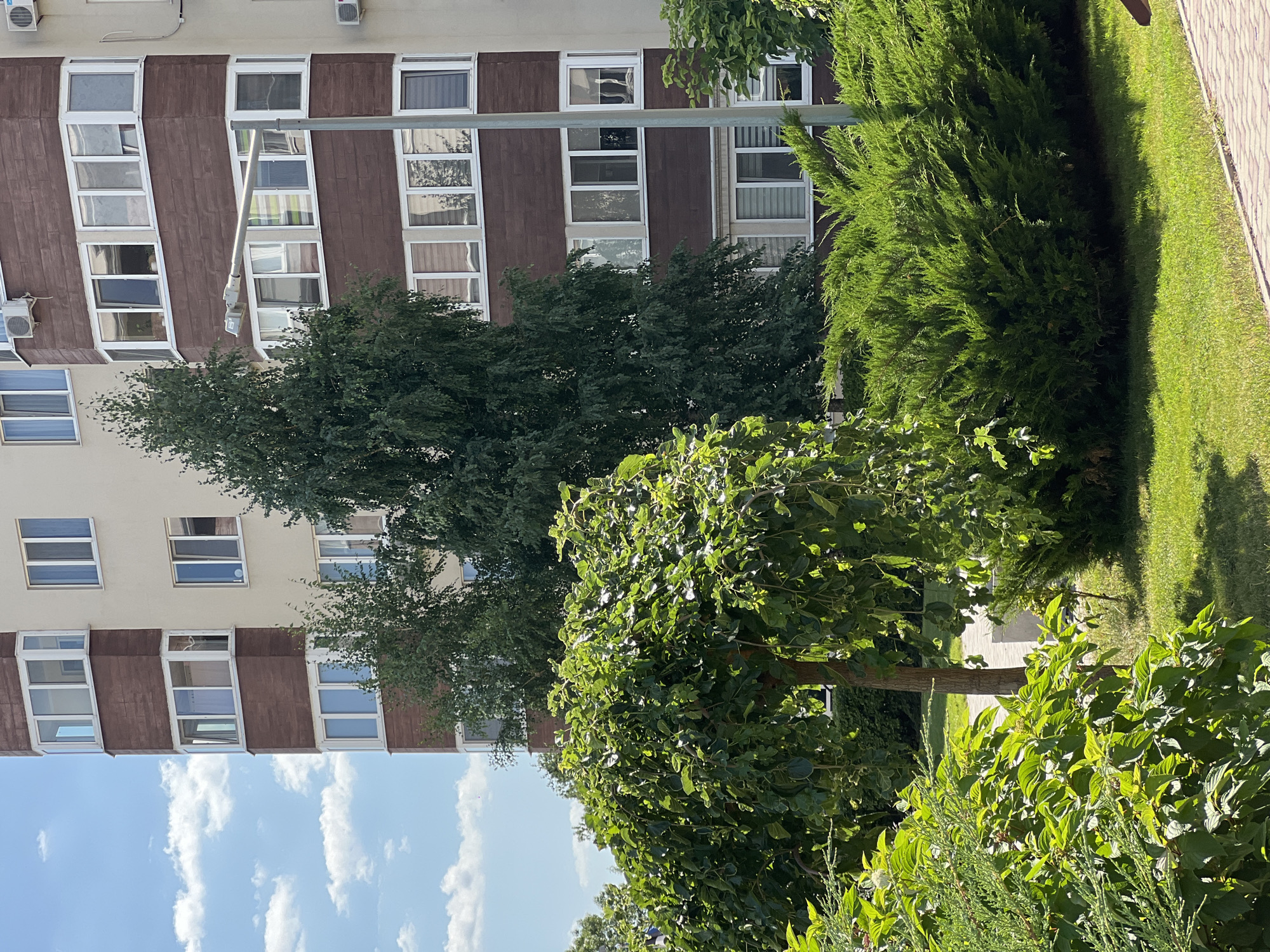 The image shows a multi-story building with a facade featuring cream-colored upper sections and brown horizontal panels on lower sections. There are numerous windows, some with bay window extensions. A street lamp stands in front of the building. In the foreground, there is lush greenery, including a weeping tree with abundant green leaves, dense bushes, and a neatly mowed lawn. The sky is blue with scattered white clouds. The location is identified as Kryzhanivka, Ukraine. No people are visible in the image.