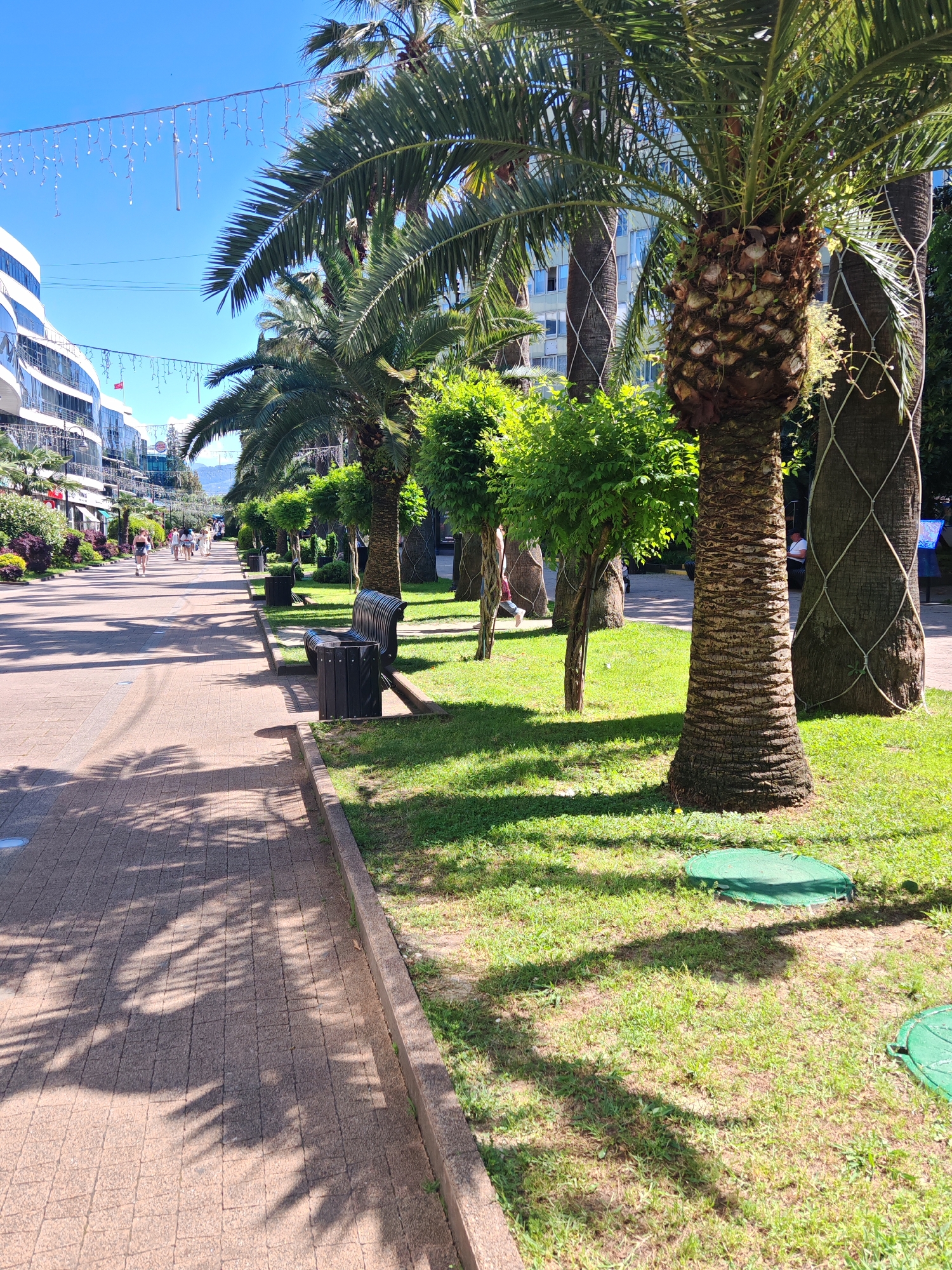 The image displays an outdoor pedestrian promenade located in the city of Unknown, Unknown, under clear blue skies and strong sunlight, casting distinct shadows.
The scene is dominated by a wide paved walkway on the left, constructed from rectangular tan pavers. Prominent shadows of palm fronds are cast across this pavement, suggesting a high sun angle. A concrete curb separates the walkway from a landscaped strip of green grass on the right.
Along this grassy strip, a row of mature palm trees with thick, textured trunks is visible. Several of these palm trunks are partially wrapped in a white, coarse, diamond-patterned netting. Interspersed among the palm trees are smaller, densely leafed green trees and shrubs. Dark-colored park benches with slatted seats and backs, accompanied by matching cylindrical waste bins, are regularly spaced along the right side of the promenade.
On the left side of the promenade, a series of modern multi-story buildings with white facades and extensive reflective glass windows line the street. Overhead, across the width of the promenade, decorative strings of lights with numerous small white bulbs are suspended.
Approximately ten individuals are visible walking away from the camera down the promenade in the mid-ground, dressed in casual clothing suitable for warm weather. One person in dark shorts and a light top is partially visible closer to the foreground on the left side of the path. A small red flag is visible on a distant building.
In the lower right foreground, two circular green utility covers are partially visible on the grassy area. In the far distance, faint outlines of mountains are visible on the horizon, beneath the clear blue sky.