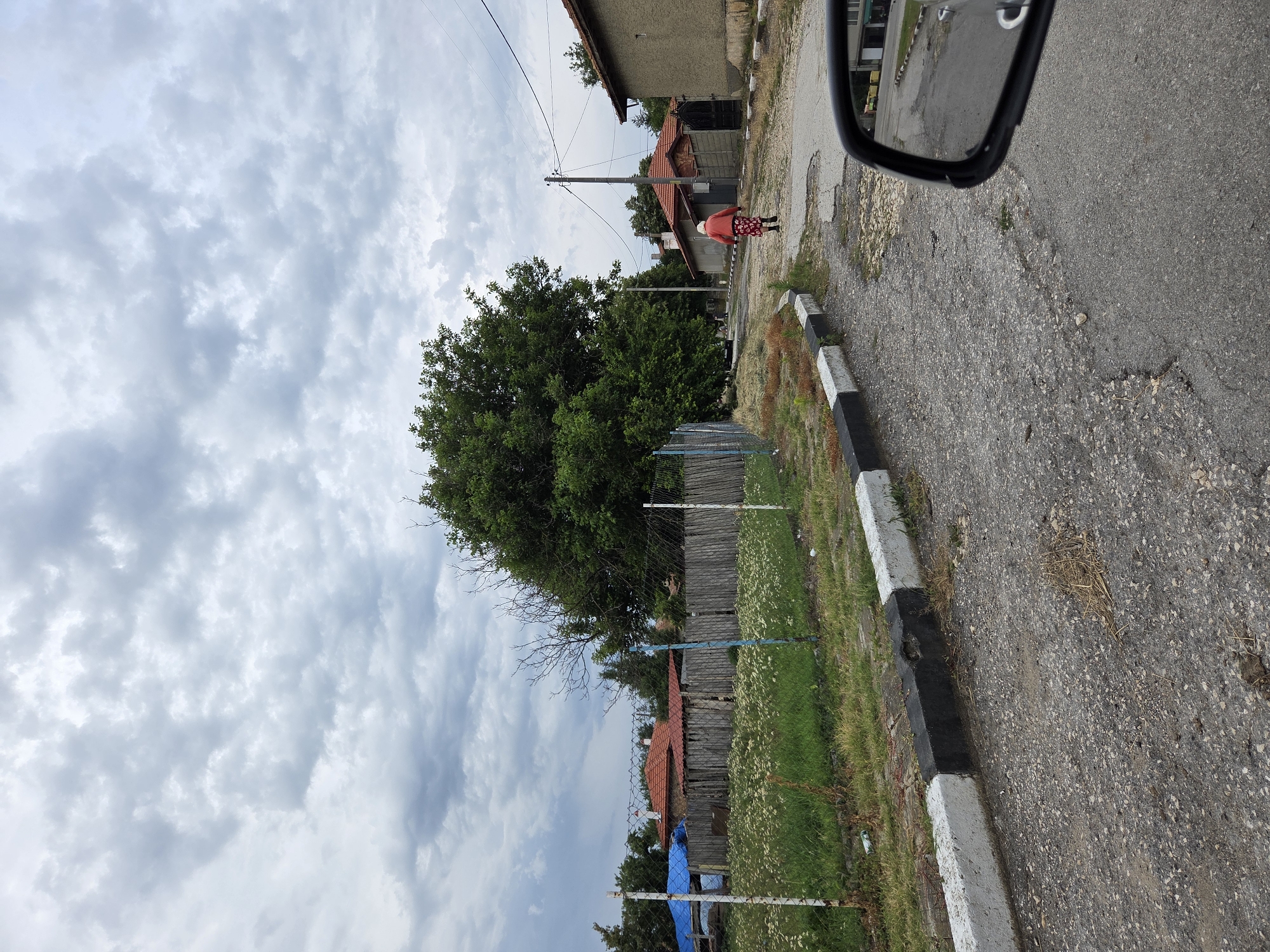 The image depicts a cloudy day scene on a road in Omarchevo, Bulgaria. In the foreground, a portion of a car's side mirror is visible on the right. The road surface is asphalt, with some visible cracks and patches. The road is bordered by a curb made of alternating black and white concrete blocks. To the left of the road, there is a grassy area with scattered white wildflowers, bordered by a wire fence with white and blue posts. Beyond the fence, there is a wooden fence, and behind that, a building with a red-tiled roof, and a blue tarp covering something. A large, leafy green tree dominates the left-middle ground. In the middle of the road, an elderly person wearing a red jacket and a patterned skirt is walking away from the camera. In the background, there are several buildings with red-tiled roofs and concrete walls, suggesting a village or rural setting. Power lines and poles are visible overhead.