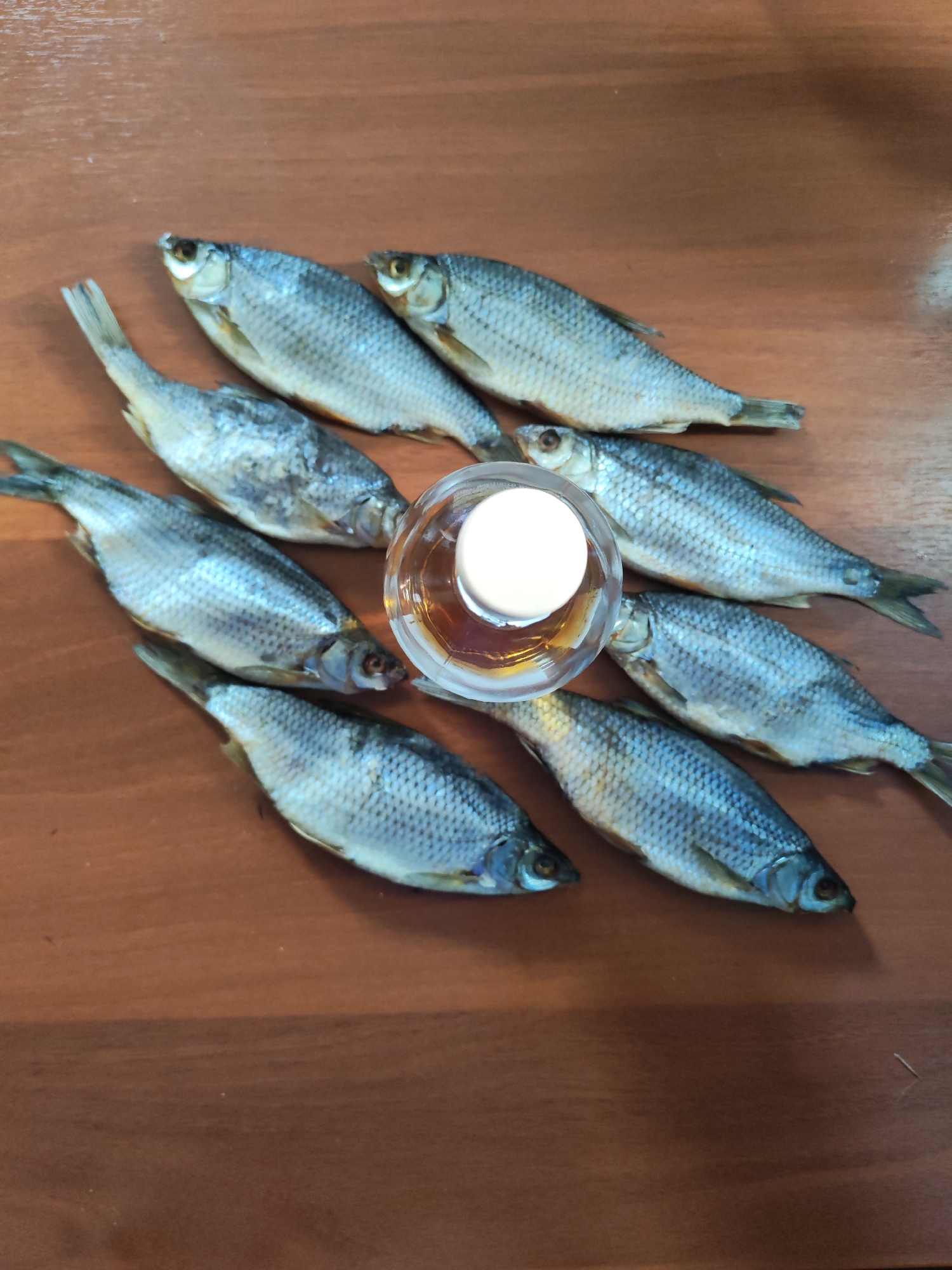 The image presents a still life composition featuring eight dried fish and a small glass containing a golden-amber liquid, set upon a smooth, reddish-brown wooden surface, likely a table.
The dried fish, appearing to be small freshwater species such as roach or vobla, are silvery-grey with visible scales, fins, and eyes. They are whole and show signs of drying, with some having a slight yellowish tint on their bellies. The fish are arranged in a diagonal, somewhat symmetrical pattern, forming a wide 'V' shape with the glass at its center. Four fish extend diagonally upwards to the left and four upwards to the right from the central glass.
A small, clear glass, resembling a shot glass or a petite tumbler, is centrally placed. It contains a light golden-amber liquid, which could be an alcoholic beverage like vodka or cognac, or possibly oil. The surface of the liquid displays a distinct circular white reflection or a cap.
The wooden surface, possibly a tabletop, exhibits subtle wood grain patterns. The lighting is even and soft, suggesting an indoor setting without harsh shadows. This arrangement suggests a traditional snack or meal preparation, commonly associated with the consumption of dried fish with beverages in regions such as Eastern Europe, aligning with the location context of Pavlokovo, Russia. There is no visible text in the image.