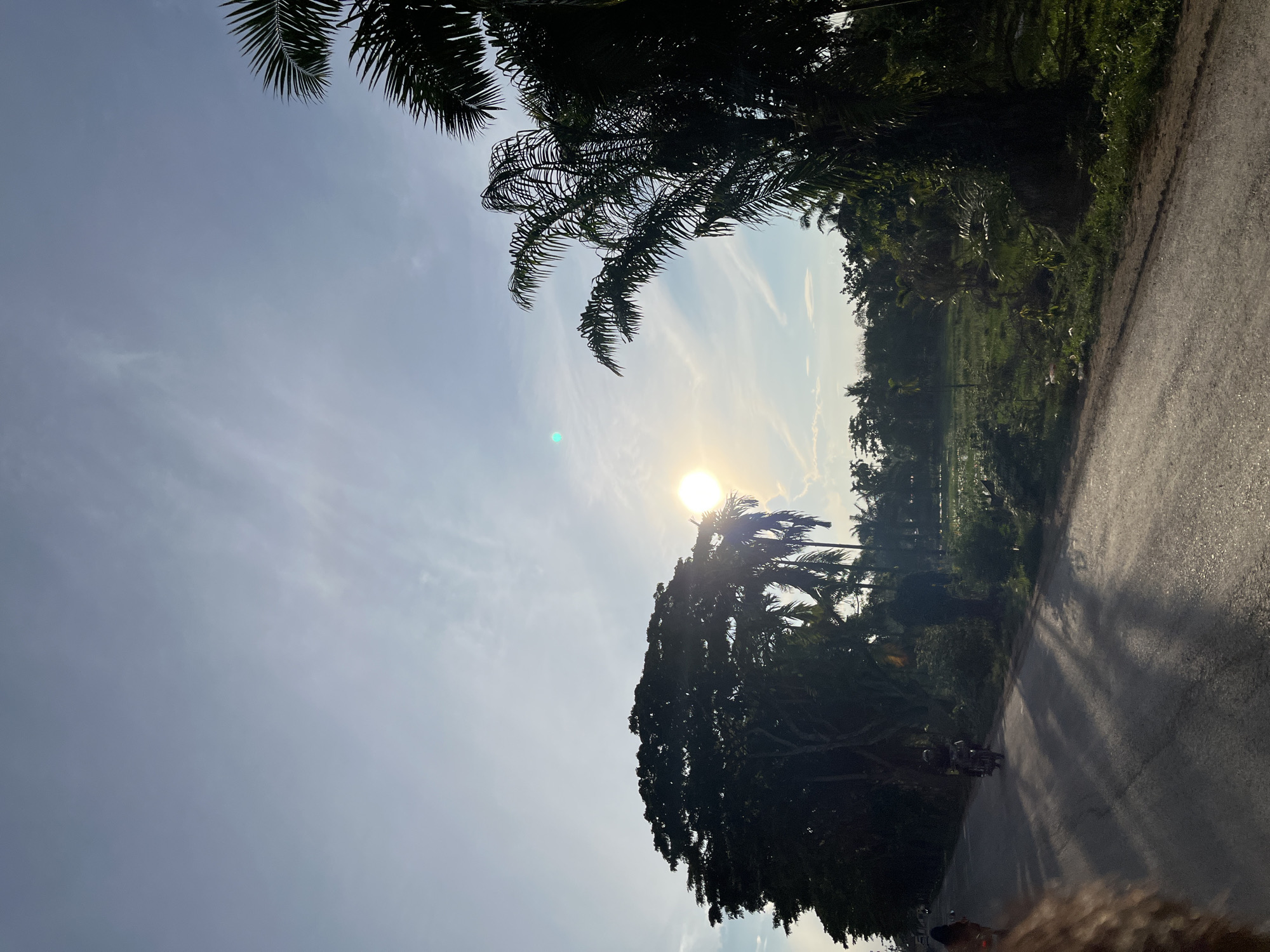 The media file depicts a rural road scene in Alurcucur, Indonesia, under a bright, sunny sky. The sun is positioned high in the sky, suggesting it is daytime, likely late morning or early afternoon, with clear weather indicated by the minimal cloud cover. Tall palm trees and lush green foliage line the side of the asphalt road, casting long shadows. In the distance, what appears to be a rice paddy or cultivated field is visible, surrounded by more dense vegetation.
A person is seen riding a motorcycle on the road, heading away from the viewer. The presence of the motorcycle and the road suggest a mode of transportation commonly used in such areas. The overall atmosphere is serene and natural, evoking a sense of peaceful rural life. The image is captured from a slightly low angle, looking up towards the sky and the tree canopy. No visible text is present in the image.