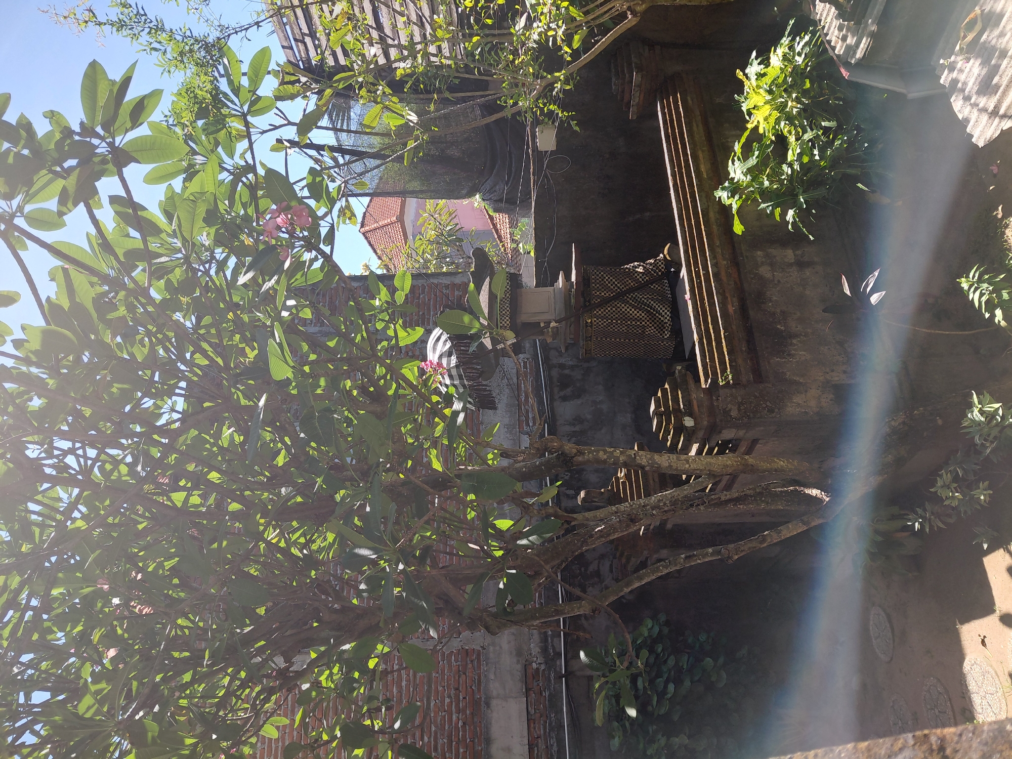 This is a photograph of a courtyard in Denpasar, Indonesia. The courtyard features a frangipani tree with green leaves and a few pink flowers, casting dappled shade. In the background, there are brick walls, a grey concrete wall, and parts of buildings with red tile roofs. To the left of the frangipani tree, there is a stone lantern with a checkered fabric draped over its base. A rainbow-like light flare streaks across the lower-left portion of the image. Several plants and greenery are visible throughout the courtyard. The scene is illuminated by bright sunlight.