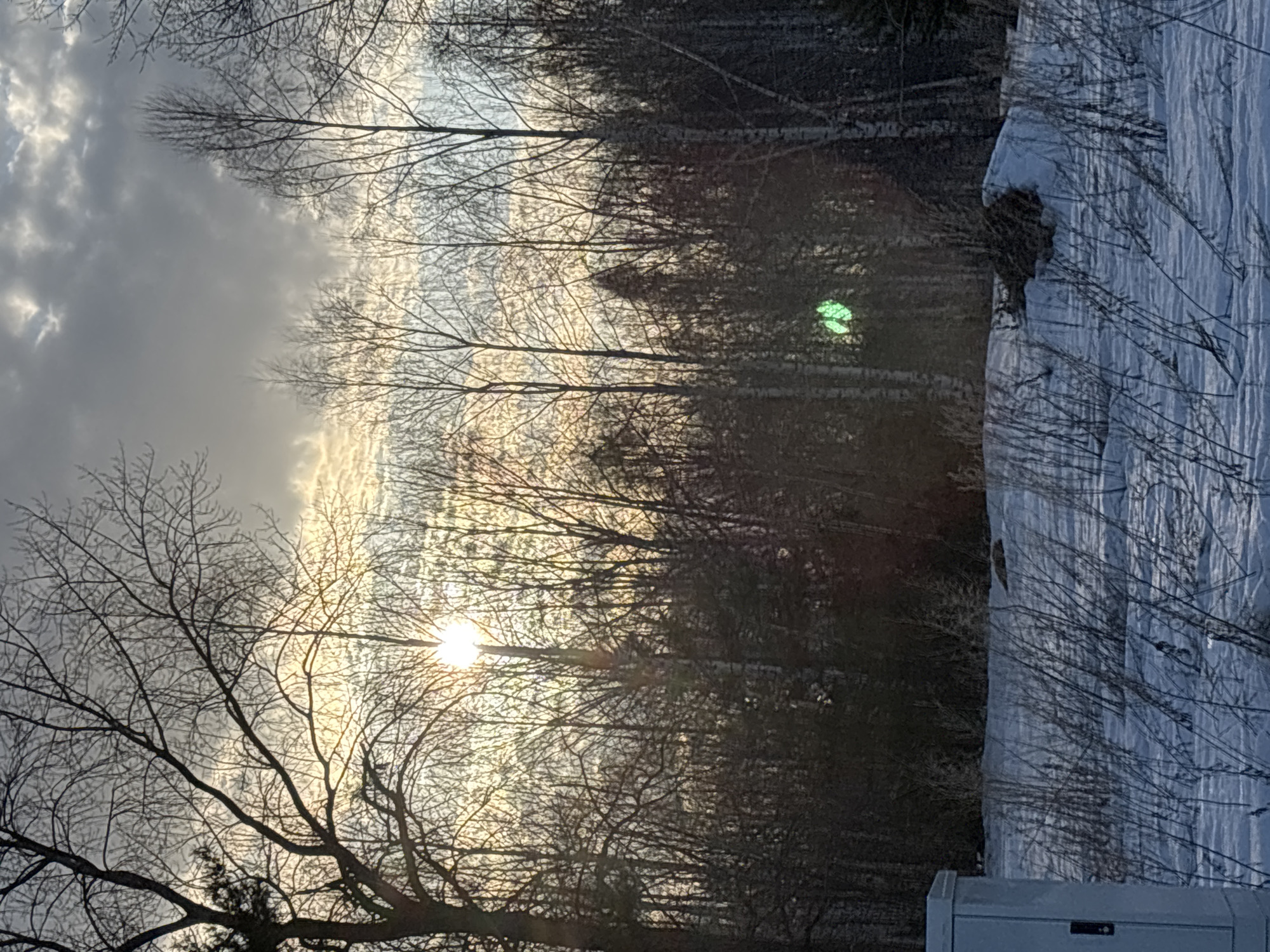 The image depicts a winter scene, likely taken near Chaikovsky, Russia, given the snow cover and dense forest typical of the region. The foreground features bare trees with intricate branching patterns against a cloudy sky. The sun is visible, partially obscured by the trees, creating a bright glare. Beyond the trees, a dense forest appears, with a patch of green that may be a light anomaly. To the right, there is a snow-covered area with what appears to be dry grasses and an object that is likely a metal structure or part of a building, close to the camera. The image is slightly rotated. No people or actions are visible in the image.
