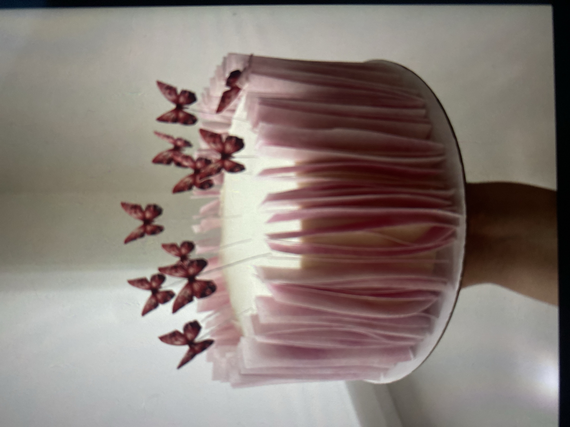 This is a close-up, eye-level, indoor, waist-up shot of a person's hand holding a round, frosted cake. The cake is decorated with pale pink, vertically arranged wafer paper or chocolate pieces around its sides, creating a ruffled effect. The top of the cake is covered in white frosting. Several small, dark pink or burgundy decorative butterflies, attached to thin sticks, are placed on top of the cake, giving the impression of them fluttering around. The background is a plain, light gray wall. There is no visible information in the image that could suggest a location in Balashikha, Russia.