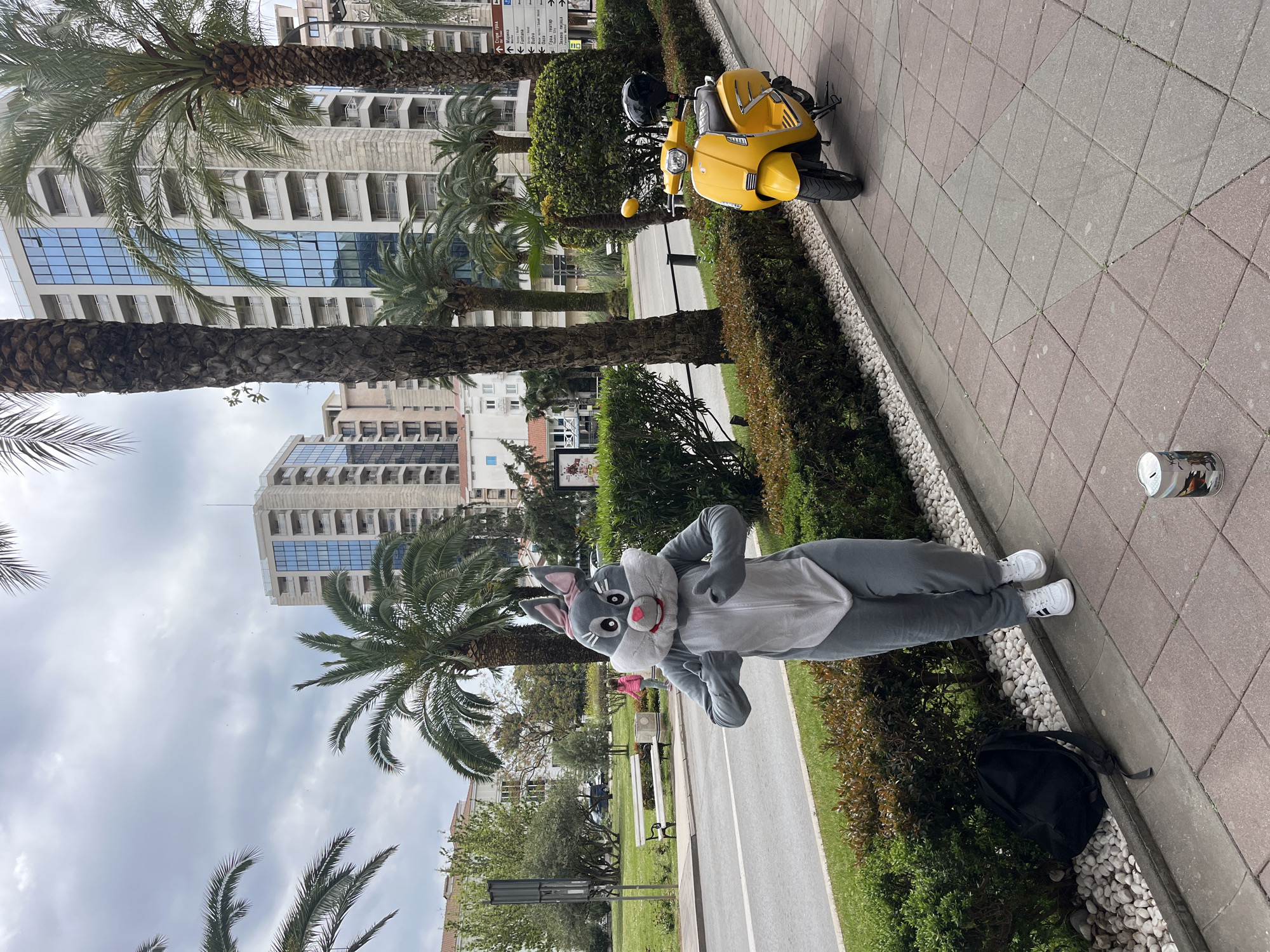 A person dressed in a Bugs Bunny costume stands on a sidewalk in Budva, Montenegro. The sidewalk is made of square, red-brown paving stones and is bordered by a low green hedge. A yellow scooter with a black helmet rests on the sidewalk. A metal donation canister sits a short distance away from the person in the costume. Behind the person and across a street, a park contains trees, benches, and light posts. In the background, multiple tall buildings are visible, along with palm trees. The sky is overcast. A black backpack is on the ground next to the person.