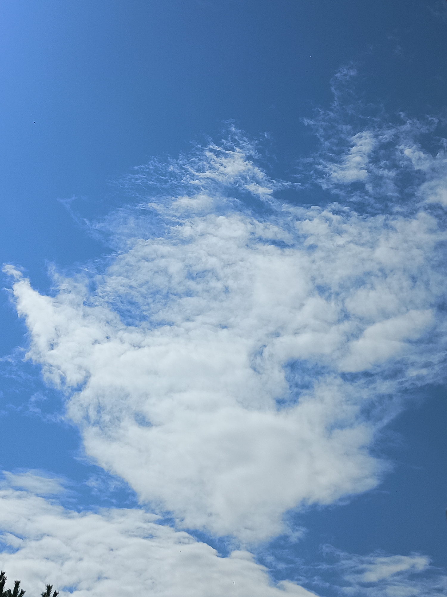 The image shows a clear blue sky with scattered white clouds. There are a few very small dark specks in the sky that might be birds or insects. The bottom of the image shows the tops of some dark green coniferous trees. There are no people or man-made structures visible in the image. The scene appears to be outdoors in a natural environment. The location in Saraktash, Russia, is not discernible from the visual information provided in the image.