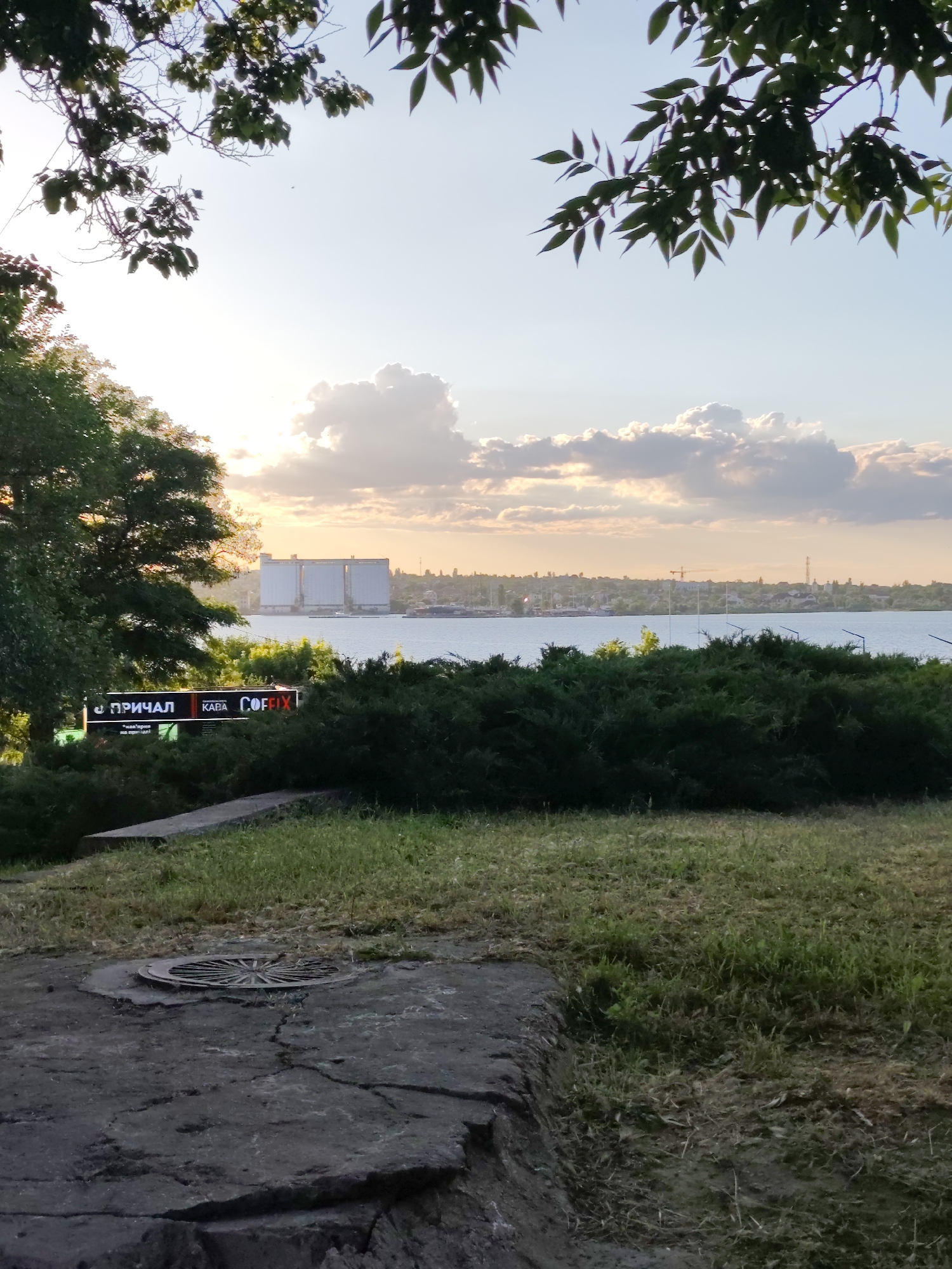 The image depicts a wide-angle view of a waterfront scene, likely in Mykolaiv, Ukraine, during the late afternoon or early evening. The foreground is dominated by a paved area with a circular metal grate, indicative of a storm drain or manhole cover. This is bordered by a patch of dry, mown grass and some large, dark grey stones or concrete slabs.
Behind the foreground, a dense line of dark green, evergreen bushes forms a natural barrier. Partially obscured by the bushes and on the left side of the image, a green illuminated sign is visible with white text. The text appears to read "ПРИЧАЛ" (which translates to "Pier" or "Dock") and "КАВА COFFIX", suggesting a cafe or coffee shop. Adjacent to the sign, a large tree with dark green foliage is present.
The middle ground of the image features a calm body of water, possibly a river or bay, with a distant shoreline on the opposite side. The shoreline is dotted with buildings and structures, including what appear to be large, white silos or grain elevators, characteristic of port or industrial areas. Several boats or ships are visible on the water.
The sky above is a blend of pale blue and warm hues of orange and yellow, indicating either sunrise or sunset. Scattered white and grey clouds are present, some of which are illuminated by the sun. In the far distance, faint silhouettes of buildings and a crane can be observed along the horizon. Overhanging the top portion of the image are branches and leaves of trees, framing the sky and casting shadows. No people are visible in the scene.