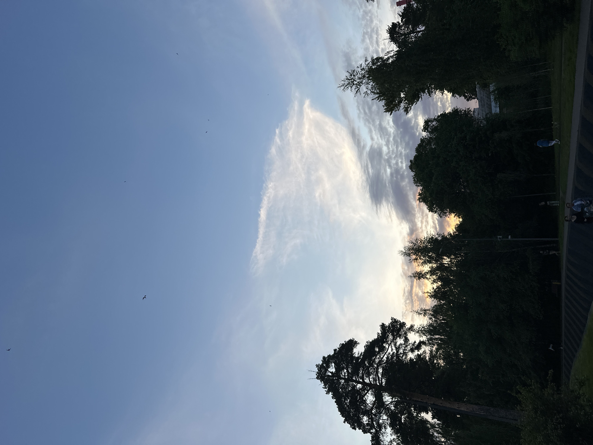 The image depicts a twilight scene in a park or green space, likely in Kazan, Russia, given the provided location context. The sky is a pale blue, transitioning to warmer hues near the horizon, indicating either sunrise or sunset. Scattered white clouds streak across the sky, with one larger, wispy cloud formation prominently featured. Several small birds are visible in flight against the expansive sky.
The foreground is dominated by the silhouettes of lush green trees, with a particularly large pine tree casting a dark shadow. The dense foliage suggests a temperate climate and a well-established natural environment. In the background, beyond the trees, a man in a blue shirt is walking on a paved path, his figure small against the vastness of the park. Further in the distance, hints of structures and possibly other people can be discerned, though they are largely obscured by the trees and the low light.
The overall mood of the image is tranquil and serene, evoking the peaceful atmosphere of an outdoor space during the transitional hours of the day. The soft light and the presence of nature suggest a moment of quiet reflection or leisurely activity. There is no visible text in the image.
