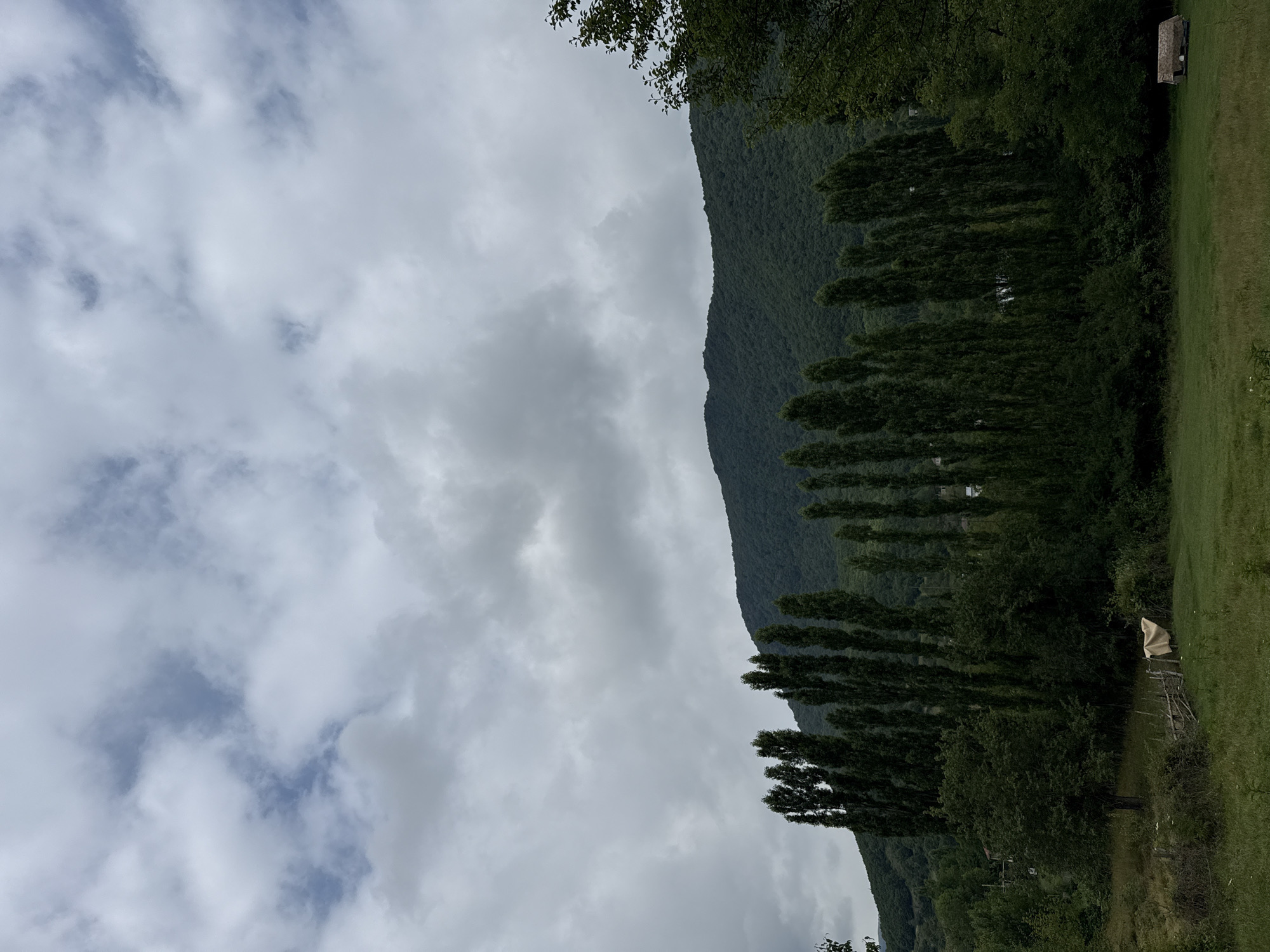 The image depicts a cloudy day in a rural setting, likely in or near the city of Shaki, Azerbaijan. A dense, dark green forest covers a rolling hillside that dominates the background. In the foreground, a line of tall, slender trees stands prominently, resembling Lombardy poplars. Below the trees, a grassy field stretches out, with a rustic wooden fence. A light-colored tarp is draped over a section of the fence. To the far right of the frame, a small, primitive structure with a thatched roof is visible in the field. The overall atmosphere is serene and natural, with no people or animals present. The cloudy sky suggests overcast or approaching rain conditions.