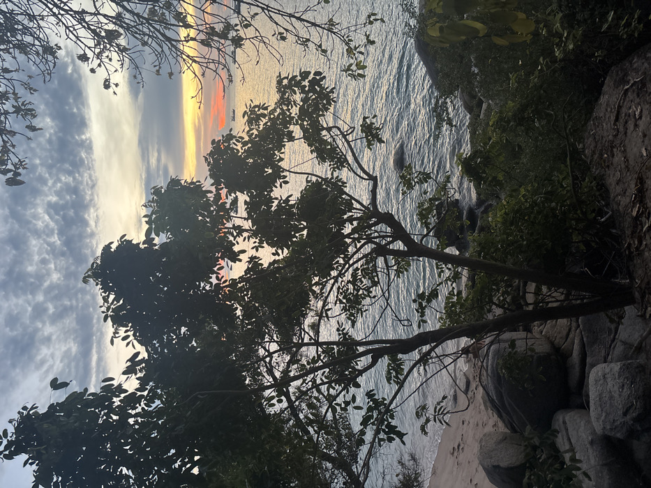 The image depicts a sunset scene over the ocean in Koh Tao, Thailand, observed from a slightly elevated coastal vantage point. The upper half of the frame features a sky with scattered stratocumulus clouds, transitioning from a light blue-grey overhead to prominent bands of orange, yellow, and red at the horizon. Below this, the calm sea reflects the sky's warm hues, displaying a broad, golden-orange swath near the horizon. Multiple small, dark-hulled vessels, consistent with longtail boats, are silhouetted against the bright water, distributed across the mid-ground.
The immediate foreground is characterized by dense tropical vegetation, primarily the dark silhouettes of trees with discernible foliage and branches that partially frame the seascape. To the left, a narrow sandy beach strip is visible at the water's edge, bordered by large, rounded grey boulders. Similar rocks are present both on the beach and partially submerged in the shallow water. Further dense green undergrowth and additional rocks occupy the lower right portion of the frame. No human figures or direct human activities are explicitly depicted.