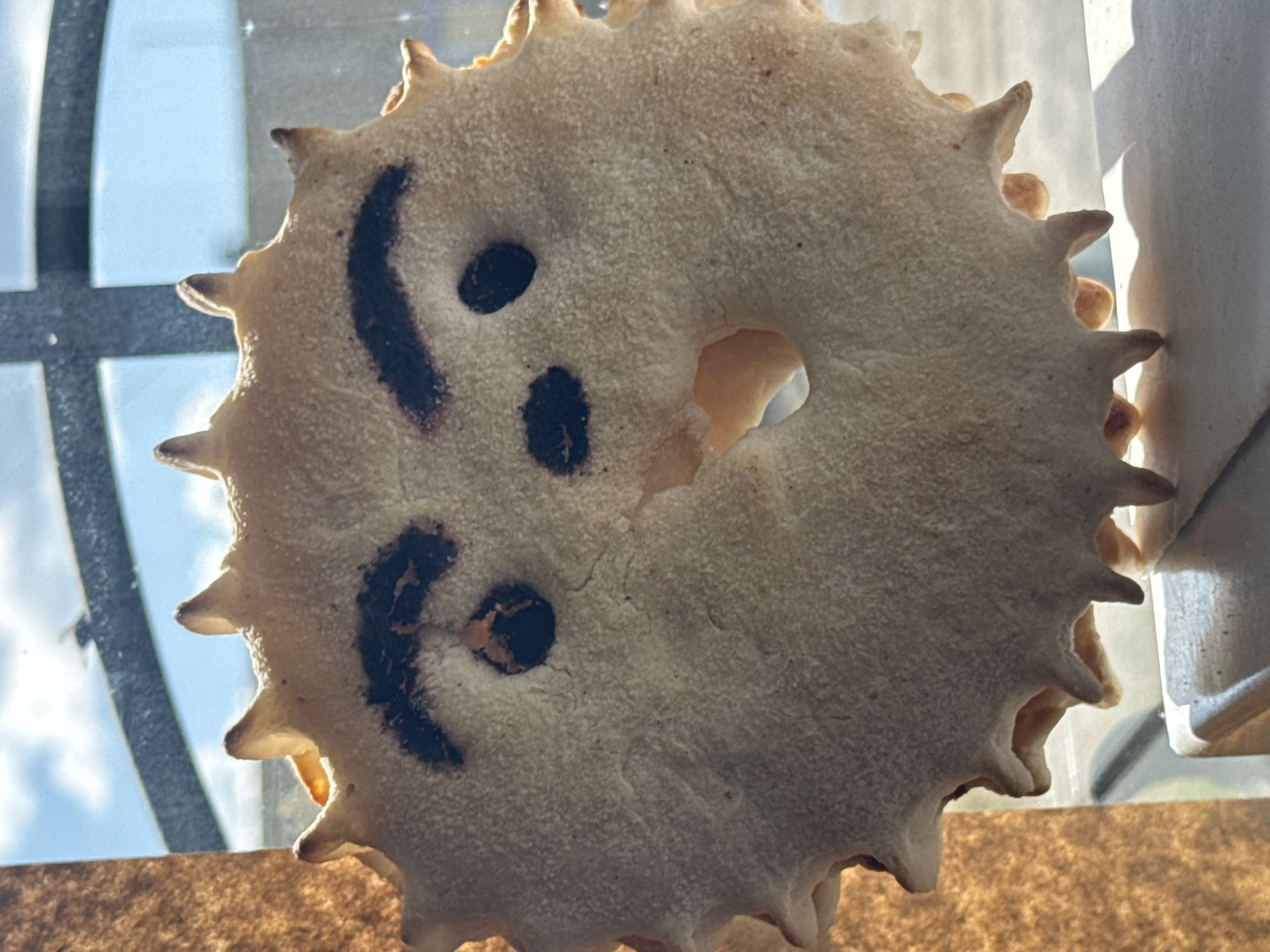 The image displays a close-up of a decorative cookie shaped like a sun with a face. The cookie has a circular body with spiky protrusions around its edge, resembling sun rays. A face is drawn onto the cookie using dark ink, featuring two arched eyebrows, two round eyes, and a wide, open mouth with a hole in the center. The cookie appears to be placed near a window, with sunlight illuminating it from behind and casting shadows. The background shows a blurred view of a window frame and a bright sky with clouds. There is no indication of the city of Zaokskiy, Russia, in the image.