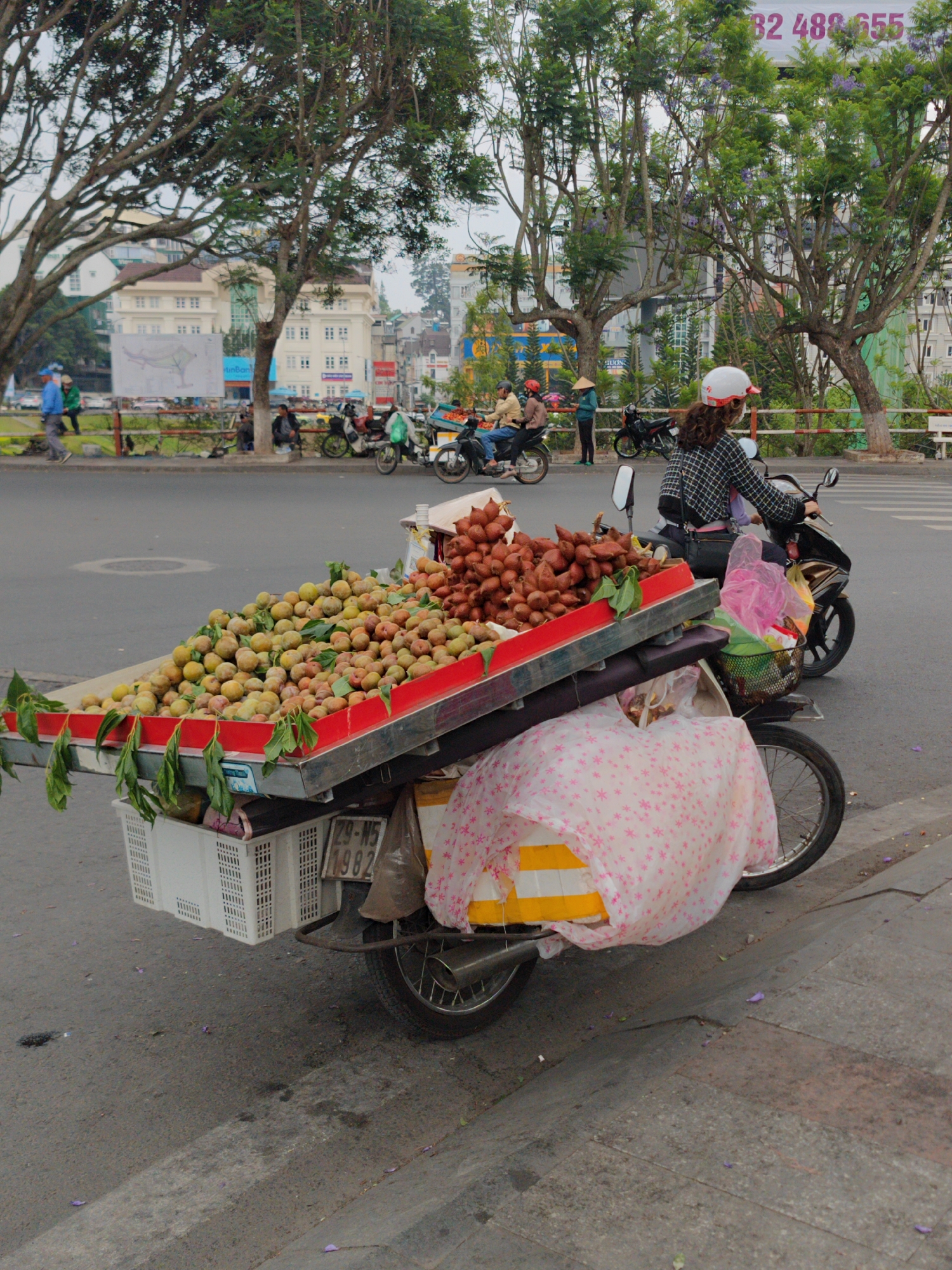 This image captures a bustling street scene in Da Lat, Vietnam, centered on a fruit vendor's modified motorbike in the foreground. The scooter features a large, slanted red and silver tray laden with two distinct types of fruit: a substantial pile of small, light green and yellowish round fruits (possibly local plums or similar varieties) and a mound of reddish-brown, scaly salak (snake fruit). Below the fruit display, white plastic crates are visible, one clearly displaying the license plate "Z9-N5 1982". A light pink fabric with white star patterns covers the rear of the motorbike, likely protecting additional items or serving as a cover.
In the midground, a person on a black and gold scooter, wearing a white helmet and a plaid shirt, is stopped, possibly at a traffic light or crosswalk. Another person on a scooter is behind them. To the left, a man in a blue shirt walks along the roadside, separated from the street by a barrier. Several other individuals are visible sitting or standing near this barrier, with more motorbikes parked or in motion.
The background reveals an urban environment with various buildings, including a large, light-colored structure on the left. The street is lined with numerous trees displaying green foliage, some adorned with subtle purple blossoms, characteristic of Jacaranda trees often found in Da Lat. The sky is overcast, indicating a cloudy daytime setting, likely morning or early afternoon. In the far background, a billboard or sign is partially visible, showing the numbers "82 488 655" and text that appears to be "tinBan" or "tinBank". The scene depicts everyday life on a Vietnamese street.