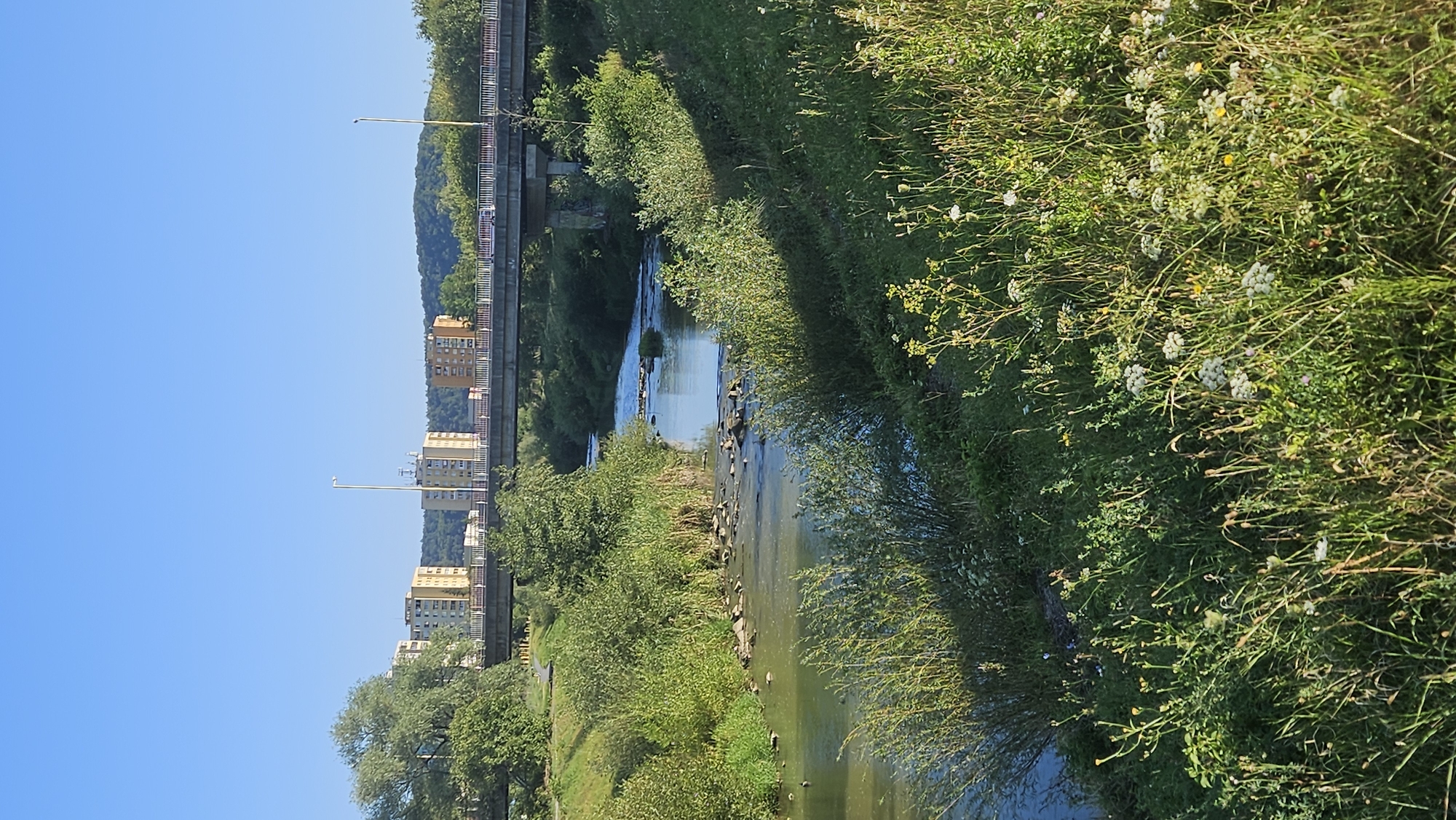 The image depicts a river flowing through a green, vegetated area with a bridge spanning across it. In the background, several multi-story buildings are visible, characteristic of urban development. This scene is located in the city of Prešov, Slovakia, specifically near the Torysa river. The river is shallow with visible stones and ripples, suggesting a gentle current. Lush green grass and wildflowers grow along the riverbanks, and trees are scattered throughout the landscape. The bridge, a concrete structure with a railing, carries a road with a few vehicles on it. The sky is clear and blue, indicating fair weather. The overall impression is one of a natural landscape integrated with urban infrastructure.