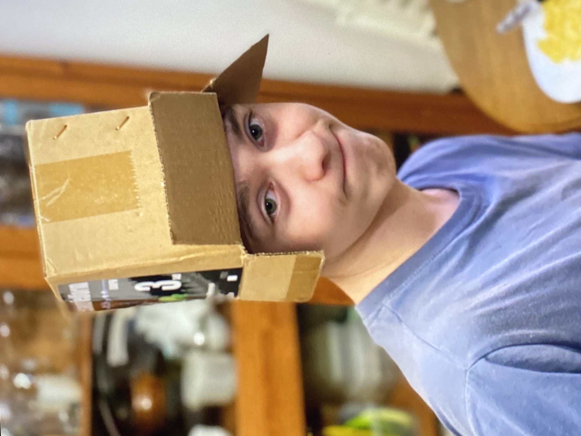 A young boy is wearing a homemade hat made from a cardboard box. The boy has light skin, green eyes, and short, dark hair. He is wearing a blue t-shirt and is looking at the camera with a slight smile. The background is blurred but appears to be an indoor setting with shelves and dishes visible. There is no identifiable information to place this image in Purkersdorf, Austria.