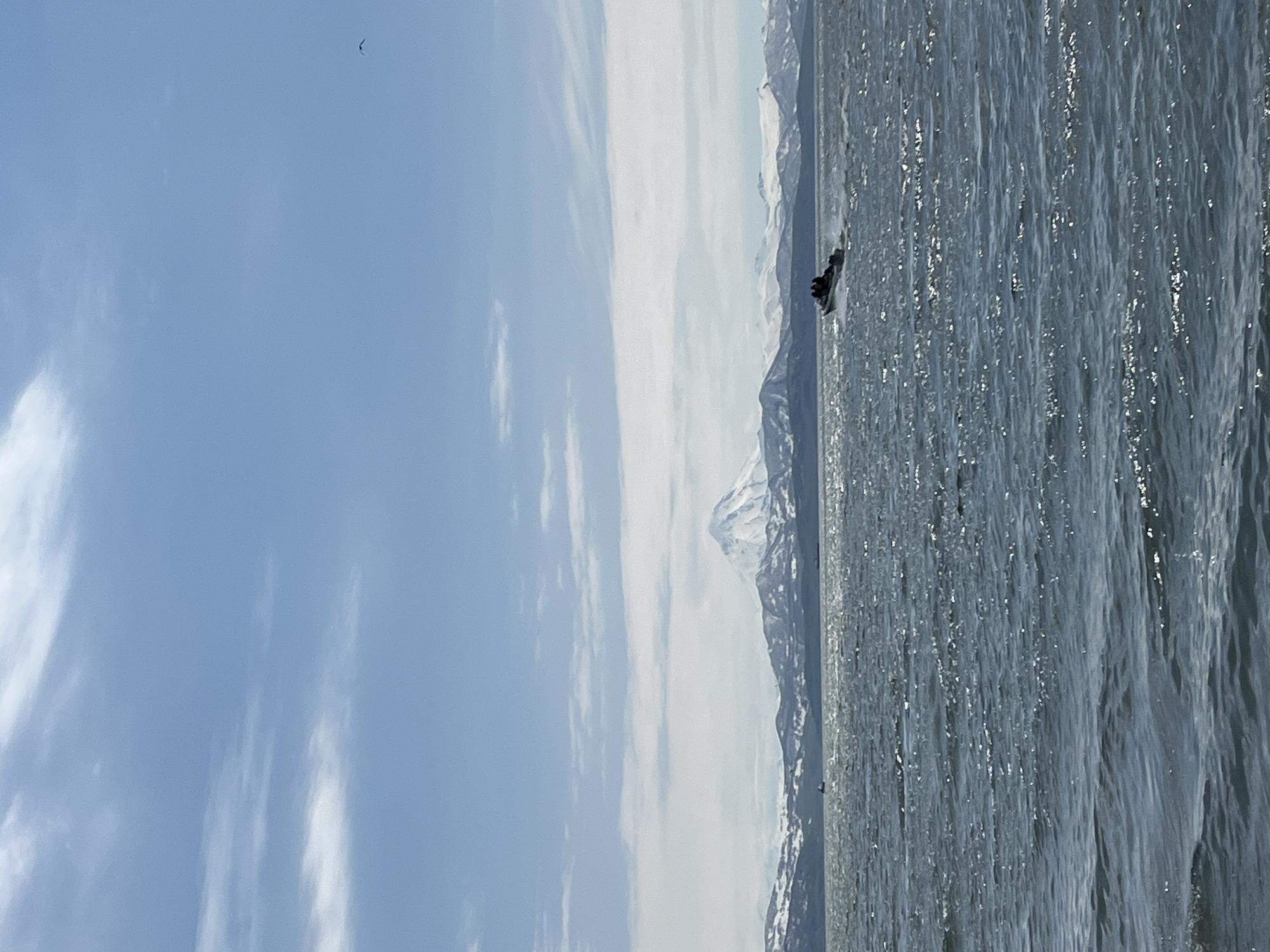 This is a landscape photograph taken from the water, looking towards snow-capped mountains. In the foreground, there is a choppy body of water reflecting sunlight. In the middle ground, a small motorboat with several people aboard is moving across the water. In the background, a large, snow-covered mountain dominates the horizon, flanked by other smaller, also snow-covered mountains and hills. The sky is blue with scattered white clouds. A single bird is visible flying in the upper right quadrant of the sky. The overall scene depicts a natural, scenic view, likely a body of water near a mountainous region. This scene is consistent with views of the Avacha Bay area or surrounding volcanic landscapes near Petropavlovsk-Kamchatsky, Russia.