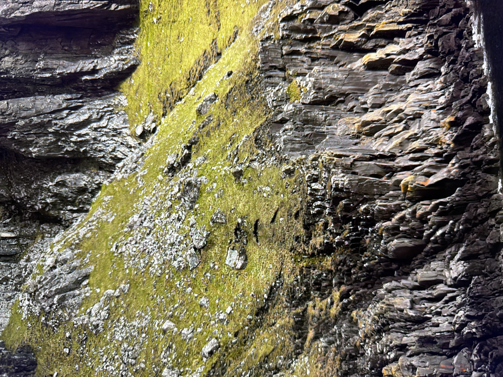 The image depicts a rugged, rocky cliff face with patches of bright green grass growing on its slopes. The rocks are dark gray and appear weathered, with sharp, angular formations. There are many loose stones scattered across the grassy areas. The lighting suggests it may be daytime, with some shadows present. The scene appears to be a natural landscape, likely a coastal area or a mountainside. The image does not contain any elements that would indicate a specific location within the city of Kyiv, Ukraine, nor does it show any people or actions.