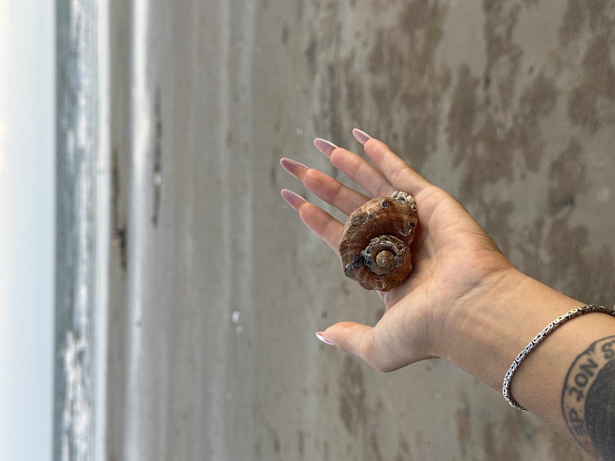 A person's hand, adorned with a silver bracelet and long, light pink acrylic nails, holds a brown, spiraled seashell against a backdrop of a sandy beach and the ocean. The hand is positioned in the foreground, with the seashell resting on the palm and fingers. The ocean is visible in the distance, with gentle waves and a cloudy sky. The sand is wet and reflects the light. A tattoo is partially visible on the forearm. The scene is likely a coastal area in Vietnam.