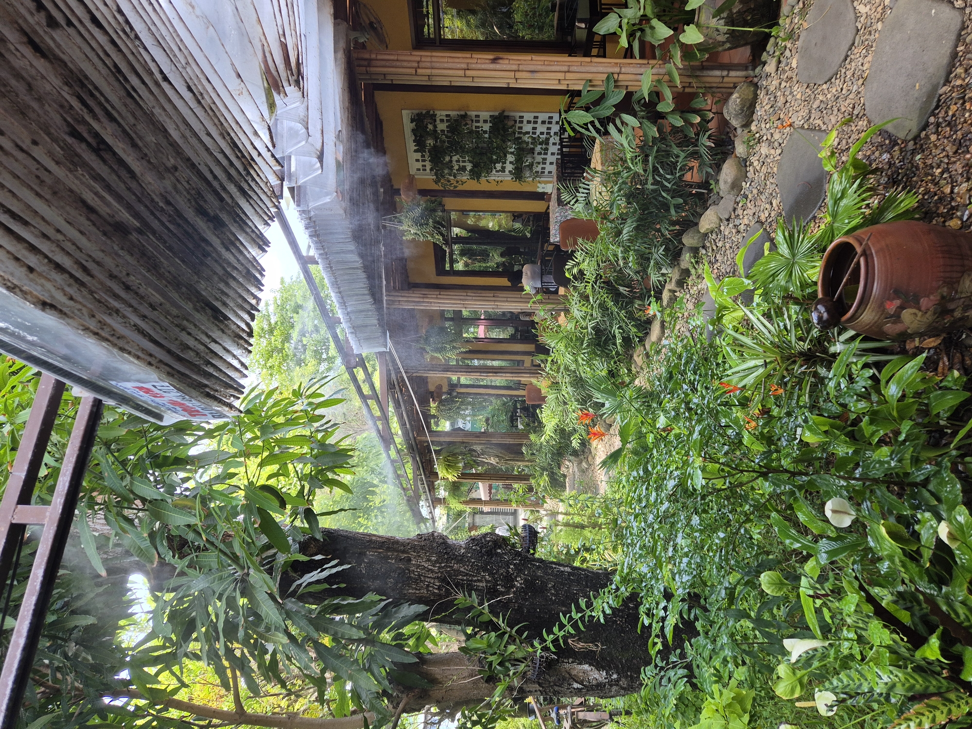 The image depicts an outdoor seating area of a restaurant in Da Nang, Vietnam, characterized by lush greenery and a misty ambiance. A large tree with a textured bark dominates the left foreground, adorned with epiphytic plants. Beyond the tree, a pathway of smooth stones and stepping stones leads towards a building with a yellow facade, supported by bamboo columns. The building features a covered seating area with tables and chairs, some of which are occupied by patrons. Hanging plants and misting systems are visible, suggesting an effort to create a cool and tranquil atmosphere. The roof of the structure is partially visible, appearing to be made of a weathered, corrugated material. The overall scene conveys a tropical, natural setting with a focus on outdoor dining in a humid climate.