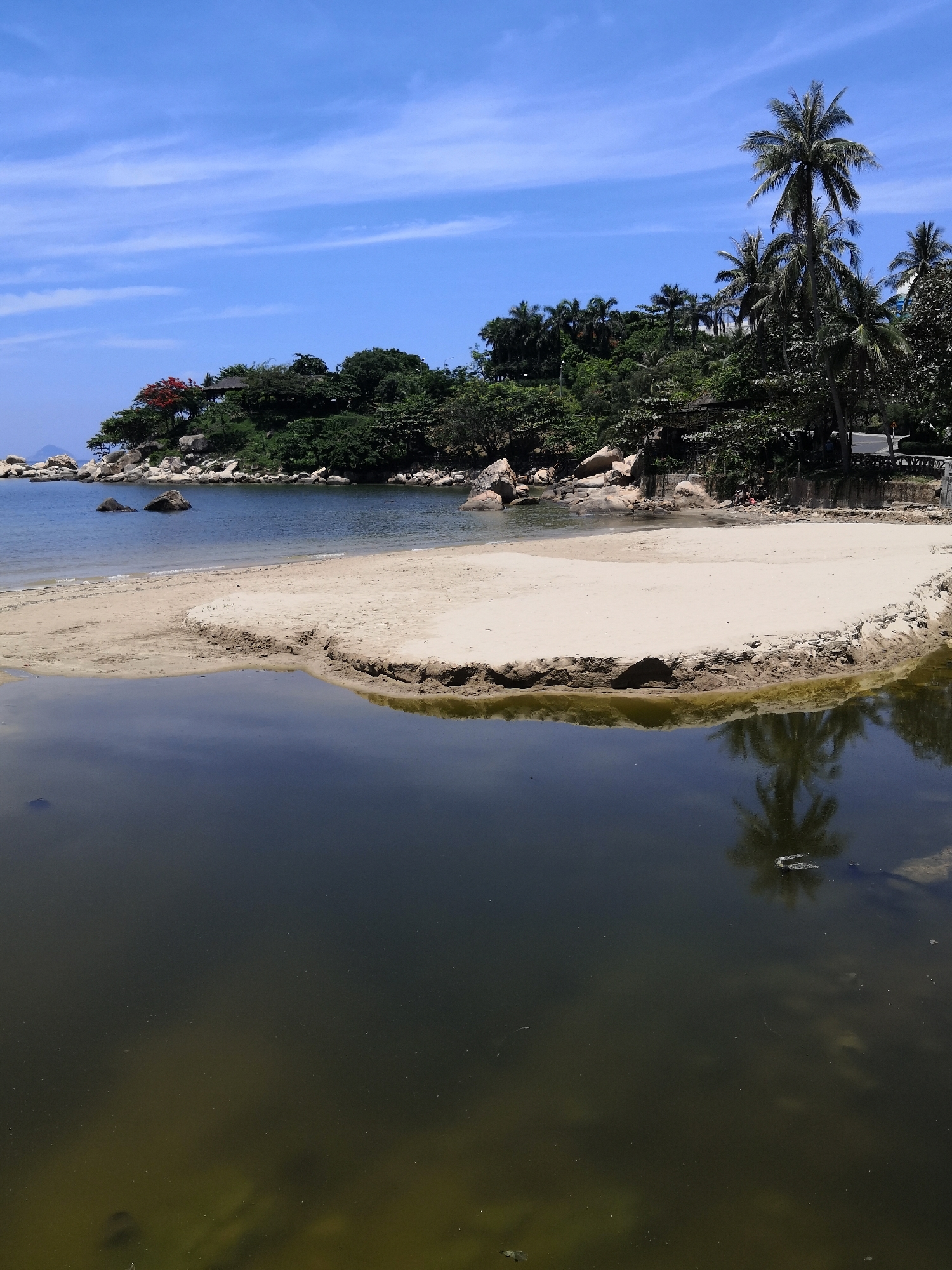 The image presents a tropical coastal landscape in Bac Nha Trang Ward, Vietnam, under a clear blue sky with sparse, wispy white clouds. In the background, a verdant hill densely covered with tropical vegetation, including a prominent red-flowering tree and a small, dark-roofed structure, meets the water's edge with scattered large boulders. The midground features a calm bay containing several rocks, leading to a light beige sandy beach that forms a spit of land. On the far right, a cluster of tall palm trees rises above the treeline, bordering a paved path or road with a visible railing. A small group of approximately three to four individuals is discernible on the right side of the sandy beach, near the water. The foreground is dominated by a placid body of dark, murky water, exhibiting greenish-brown tones and visible particulates. This foreground water clearly reflects the palm trees from the right side. The sandy beach forms an eroded bank, separating this murky water from the clearer bay water.