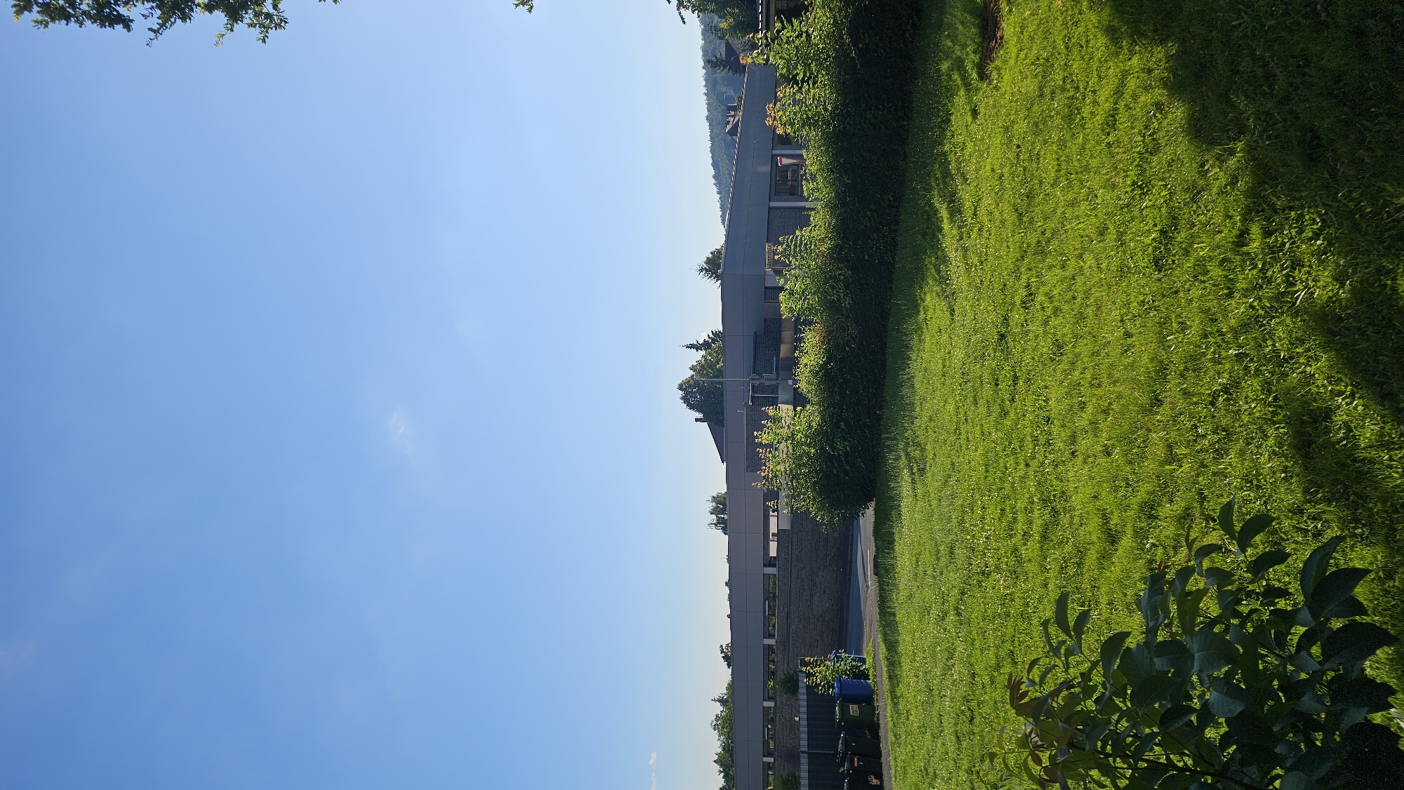 The image depicts a sunny day with a clear blue sky over a suburban or semi-rural area. In the foreground, a well-maintained green lawn is visible, with a shadow cast from the left side, indicating the sun's position. A low-lying bush with dark green leaves occupies the bottom left corner.
In the mid-ground, a row of manicured hedges forms a green barrier. Behind the hedges, several dark-colored trash bins are lined up against a fence. Further back, a long, low-rise building with a grey facade and a dark roof stretches across the scene. The building appears to be a commercial or institutional structure, possibly a school or office building, given its size and simple design. Trees with green foliage are scattered behind the building and on the hills in the distance, suggesting a landscape with natural elements.
The overall impression is one of a peaceful, well-kept environment, likely an area adjacent to a public facility or residential zone. The bright sunlight and clear sky contribute to a sense of warmth and clarity. The location is identified as Hann. Münden, Germany, a town known for its historic architecture and scenic surroundings, though this specific scene appears to be a more modern development within the area. There are no people or active events captured in the image.
