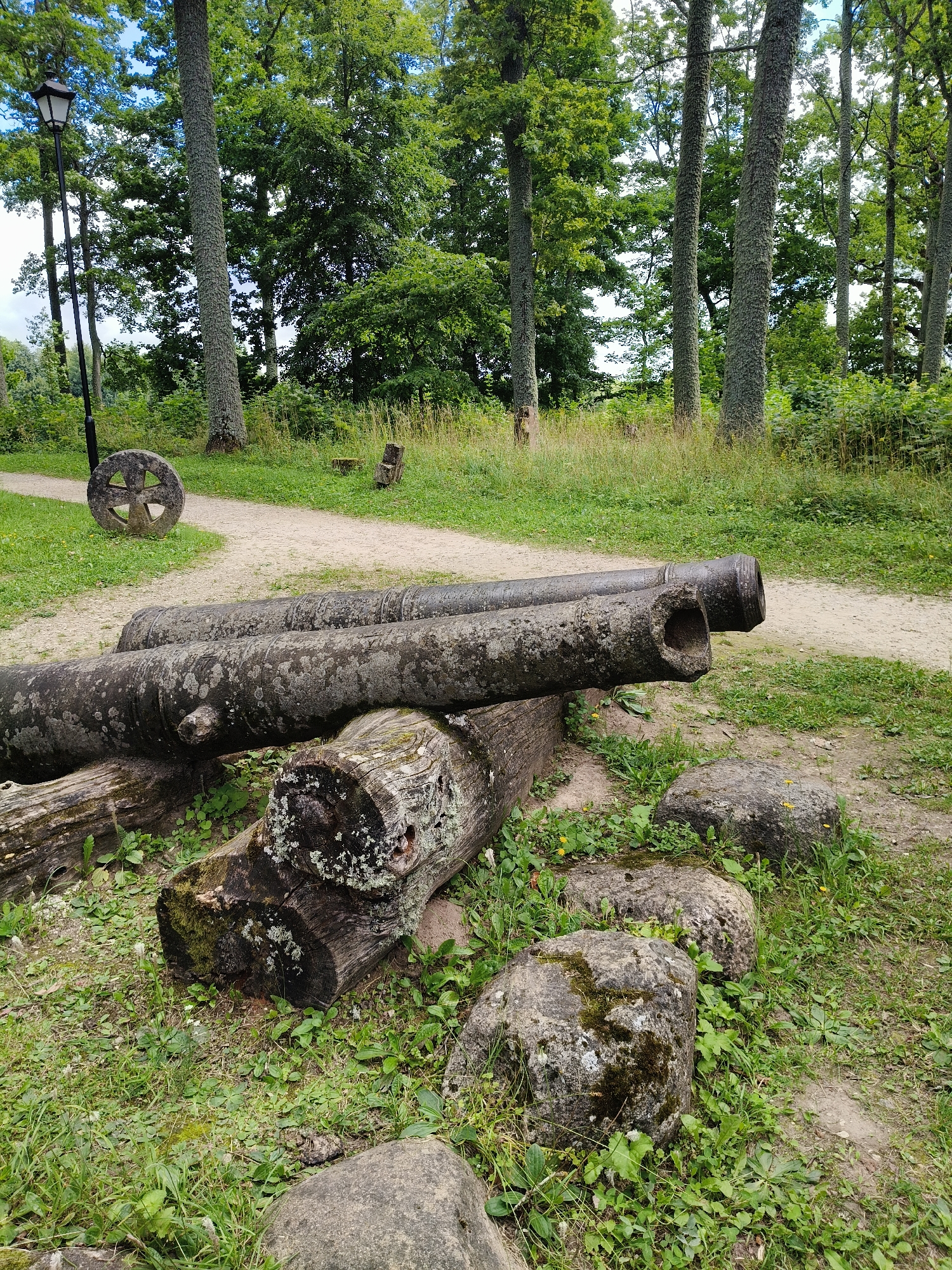 The image depicts two old, weathered cannons resting on logs in an outdoor setting. The cannons are made of a dark, pitted material, possibly cast iron, and are covered in patches of moss and lichen, indicating their age and exposure to the elements. They are positioned in the foreground, with their barrels pointing towards the right of the frame. Behind the cannons, a gravel path winds through a grassy area with scattered rocks and logs. In the background, a dense forest of tall trees with lush green foliage creates a natural backdrop. A black lamppost stands to the left of the path, and a circular stone artifact with intricate carvings is visible further down the path. This scene is located in Koknese, Latvia, likely within the historical park of Koknese Castle. The overall impression is one of historical preservation within a natural environment.