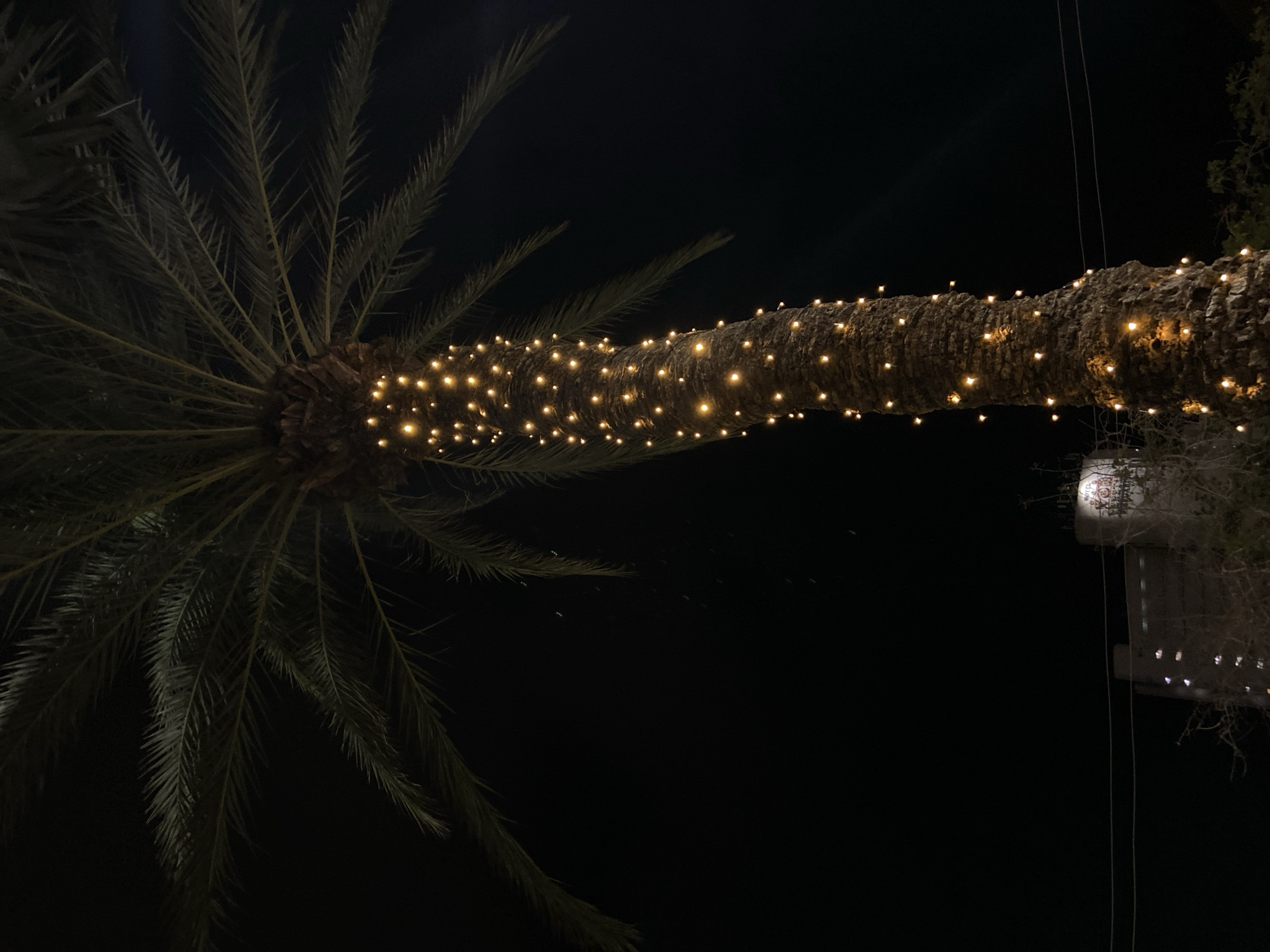A palm tree trunk, wrapped in warm, glowing string lights, is illuminated against a dark, nighttime sky. The lights form a dense, vertical pattern around the textured bark of the tree. Above and behind the palm tree, the dark sky is punctuated by scattered points of light, possibly fireflies or distant stars. In the lower portion of the image, a building with lit windows is visible, suggesting an urban environment. To the right of this building, another structure with a prominent circular sign featuring lettering is partially obscured by branches. The overall scene evokes a festive or decorative nighttime ambiance, possibly in a location like Porlamar, Venezuela, known for its tropical climate and coastal setting.