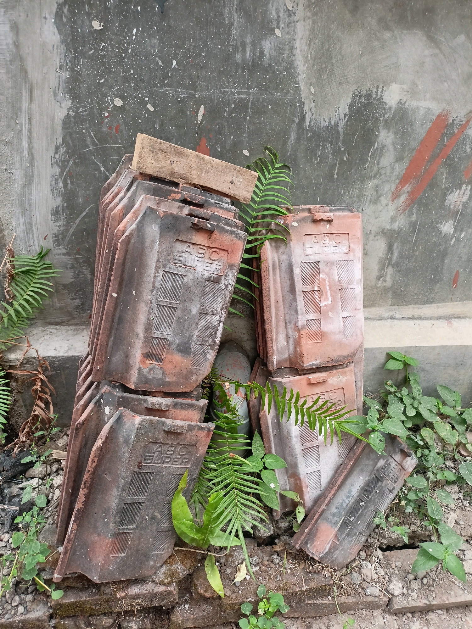 A stack of weathered, reddish-brown clay roof tiles is leaning against a rough, grey concrete wall. The tiles are in disarray, with some partially obscured by lush green ferns and other small plants growing around them. The wall itself is textured, showing signs of age and wear, with paint splatters and what appear to be red chalk marks. The ground is a mix of gravel, dirt, and broken pieces of brick. This scene is located in a yard in the city of Payaman, Indonesia. There are no people present, and no specific actions are depicted beyond the natural growth of plants and the static arrangement of the discarded tiles.