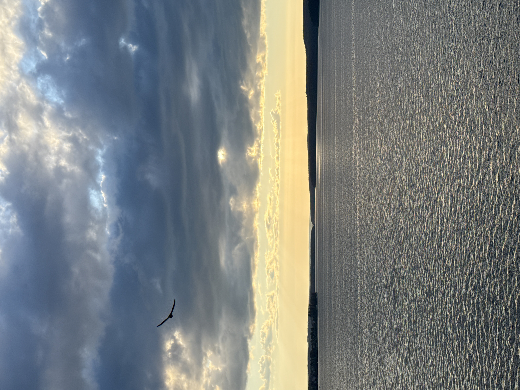 A bird, silhouetted against a dramatic sky, soars over a wide expanse of water. The sky is a mix of dark, heavy clouds and patches of bright sunlight breaking through, creating an ethereal glow. The water's surface is textured with ripples that catch the light, giving it a shimmering appearance. In the distance, a dark, treed shoreline stretches across the horizon, suggesting a natural landscape. The overall mood is one of serene, wild beauty. The image does not contain any information about the city of Votkinsk, Russia.
