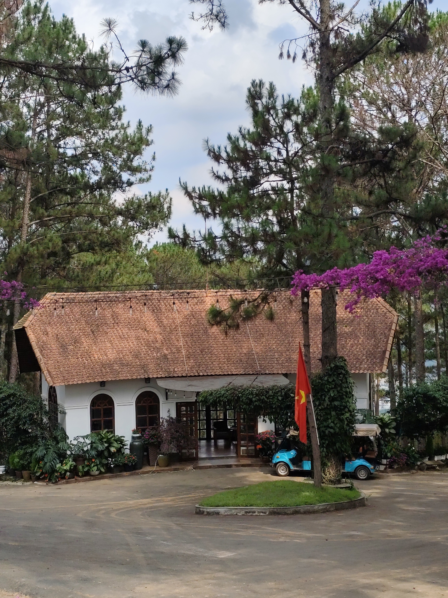 The image presents a tranquil outdoor scene featuring a charming building nestled among tall pine trees, characteristic of Da Lat, Vietnam. The building, likely a guesthouse or part of a resort, has white walls and a distinct brown-tiled gabled roof with a scalloped pattern. Arched wooden-framed windows are visible on the front facade, surrounded by lush green foliage and potted plants. String lights are strung along the eaves of the roof, suggesting evening use.
Dominating the background and flanking the building are numerous tall pine trees with dark green needles, giving the setting a serene, forested feel. On the right side of the building, vibrant purple bougainvillea flowers cascade over a structure, adding a splash of color to the verdant and earthy tones.
In the foreground, a paved circular driveway surrounds a small, grassy island. Two bright blue, open-sided golf carts are parked near the building's entrance, implying visitor transport or leisure activities. A tall flagpole stands by the driveway, bearing the red flag of Vietnam with its central yellow star. No people are visible in the scene, contributing to a peaceful and undisturbed atmosphere. The sky is partly cloudy, indicating daytime. No discernible text is visible other than the flag's national emblem.