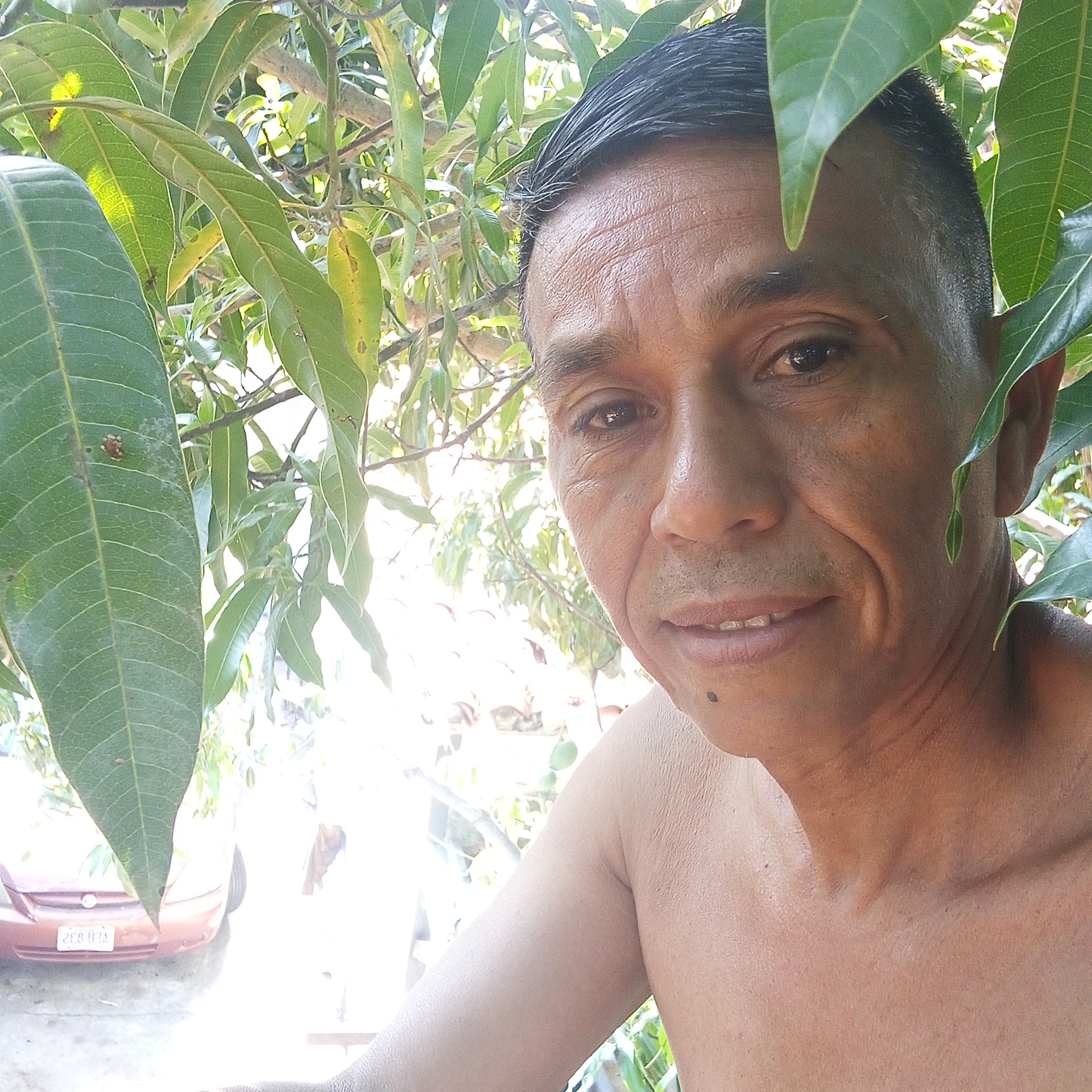 A close-up shot depicts a middle-aged, bare-chested man surrounded by foliage, potentially in a garden or outdoor area. The leaves appear to be from a mango tree. The man has short, dark hair and a visible mole on his neck. Behind him, through the leaves, a red car is partially visible with a license plate that reads "VEG 832." The scene is brightly lit, suggesting daytime outdoors. The location is believed to be Tinaquillo, Venezuela.