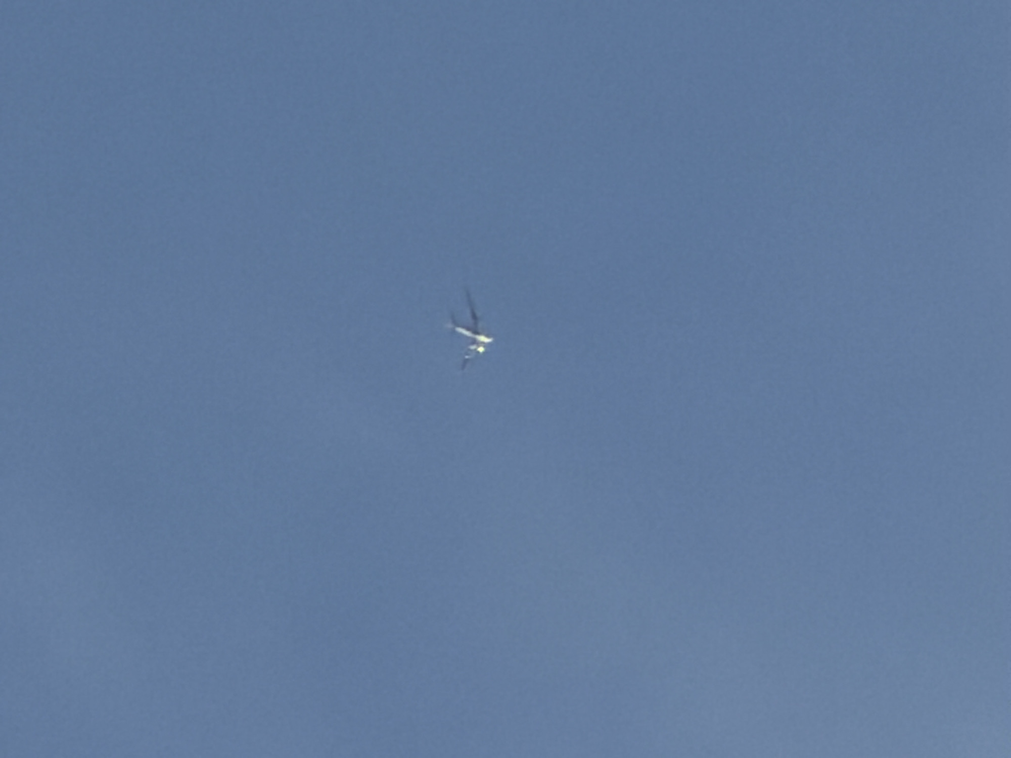 A small, white airplane is visible in the upper center of the frame, flying against a clear blue sky. The airplane is angled slightly upward and to the left, with its wings extended. A bright light, likely the sun reflecting off the aircraft, is visible on the nose of the plane. The background is a uniform expanse of blue sky, with no other objects or features present. The image was taken in Nesebar, Bulgaria, but no specific landmarks or details of the city are visible.