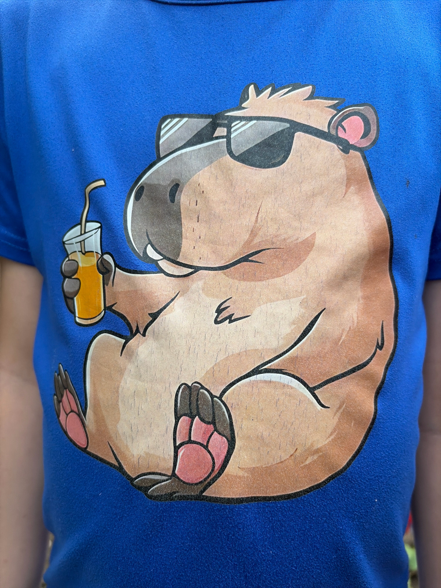 A blue t-shirt featuring a cartoon capybara is worn by an unseen person. The capybara is depicted with sunglasses and is holding a glass of orange juice with a straw. The t-shirt is the primary focus of the image. The image is not located in Oxentea, Moldova.