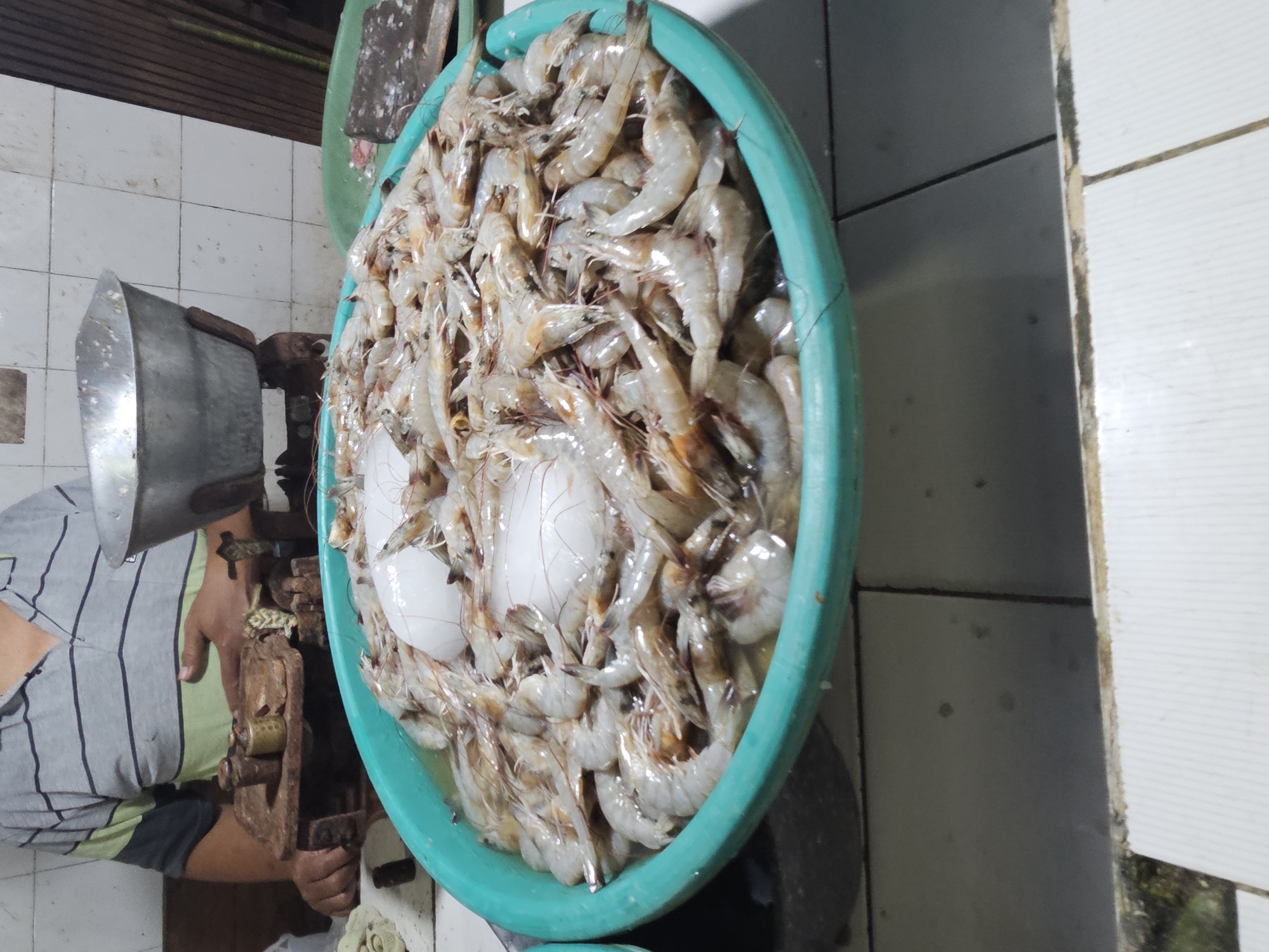 In Sidoharjo, Indonesia, at what appears to be a market stall, a person wearing a grey and green horizontally striped shirt stands behind a traditional mechanical scale. The scale has a rusty platform and a set of brass weights. In front of the scale, a large, teal-colored plastic basin is filled with a substantial quantity of fresh, raw shrimp. Two white, oblong objects, possibly squid or large pieces of ice, are partially visible submerged among the shrimp. To the right of the basin, a green plastic tray holds a dark, flat object, which could be a piece of fish or seafood. The background features a tiled wall and a wooden structure, indicating an indoor or covered market environment. The overall scene depicts a market setting focused on the sale of fresh seafood.
