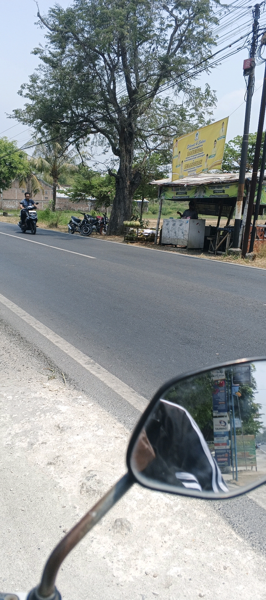 An eye-level, medium shot captures a roadside scene in Sumberwudi, Indonesia, on a sunny day. The foreground is dominated by the reflection in a motorcycle's rearview mirror, showing a person in black and white athletic wear and a portion of the road. The road itself is dark asphalt with a white line marking its edge. To the left, a rider on a black scooter is in motion, wearing a blue shirt and dark pants.
Behind the road, a small roadside stall is visible, featuring a weathered wooden structure with a corrugated metal roof. This stall displays a yellow banner with Indonesian text and images of people. Piles of coconuts are stacked in front of the stall, and a person is seated inside, appearing to be tending to their business. Several motorcycles are parked to the left of the stall, some red and black.
A large, mature tree with dense foliage stands prominently behind the stall and the parked motorcycles. In the background, more trees and buildings can be seen, with power lines stretching across the sky. The overall environment suggests a rural or semi-urban setting along a public roadway.
