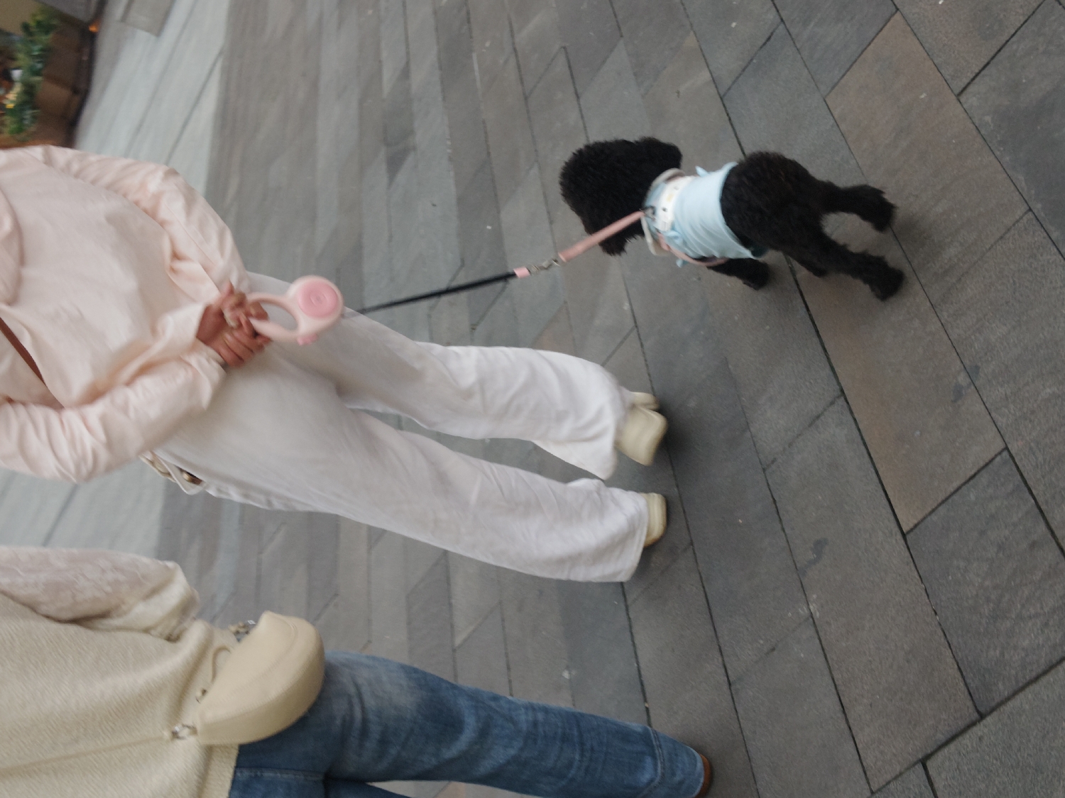 The image presents a tilted, high-angle view of an outdoor urban scene, depicting a casual stroll in what is identified as Chongqing High-tech Zone, China. The ground is paved with rectangular grey tiles.
One person, seen from a slightly elevated and angled perspective, is walking a small, black dog. This individual is dressed in a light pink or peach-colored long-sleeved top and loose-fitting white pants, complemented by light-colored flat shoes. They are holding a distinct pink, possibly retractable, dog leash with both hands. The small black dog, which appears to be a poodle or poodle mix, is wearing a light blue vest or shirt and is walking ahead on the leash.
Adjacent to and slightly behind this person, on the left side of the frame, is another individual. This person is partially visible, wearing a light-colored, possibly cream or beige, top (appearing to be a sweater or cardigan) and blue jeans. They are carrying a light beige, crescent-shaped shoulder bag. Only their lower body and part of their upper body are visible, with one foot in a brown shoe just barely showing at the very bottom edge of the frame.
The scene captures a daytime activity under clear weather conditions. No specific time of day beyond daylight is discernible, nor are any emotions conveyed. There is no visible text within the image. The setting suggests a modern urban pedestrian area.