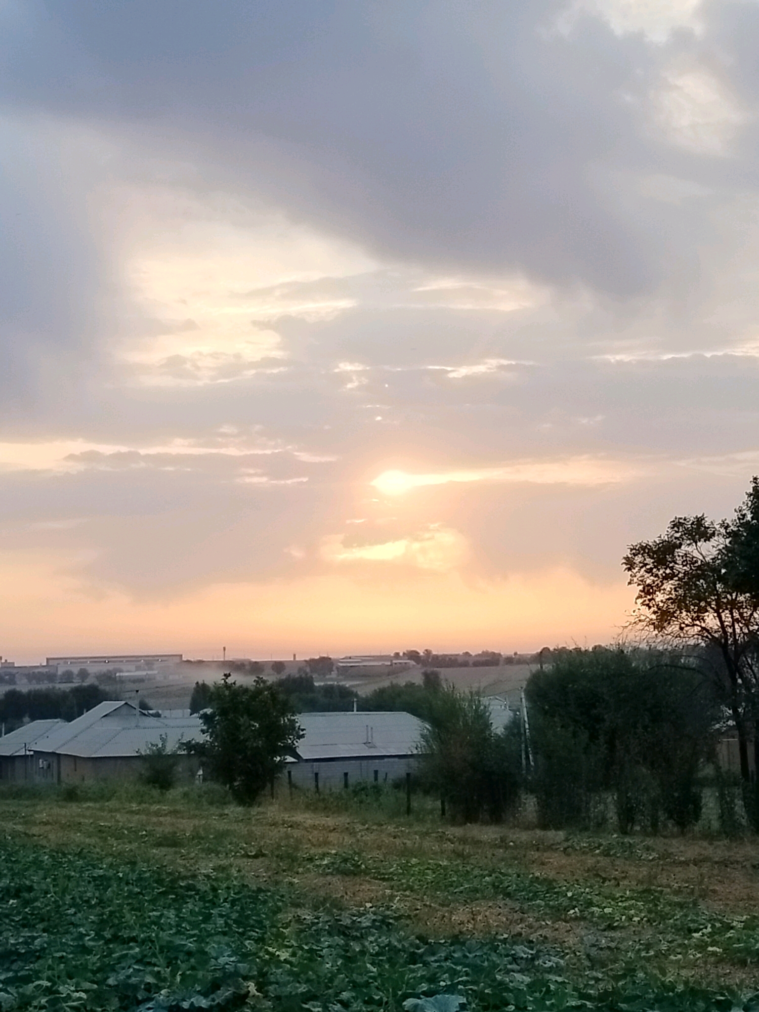 The image depicts a rural landscape at sunset. The sky is filled with a mix of gray and pinkish clouds, with the sun peeking through, casting a soft glow. In the middle ground, there are several low-rise buildings with gray roofs, suggesting a residential or agricultural area. Dense green bushes and trees are scattered throughout the scene, some obscuring parts of the buildings. In the foreground, a field of lush green plants, possibly crops, occupies the lower portion of the image. The background reveals a hazy horizon with more industrial-looking structures. The overall impression is of a quiet, overcast evening in a rural setting. Based on the provided context, this scene is located in the city of Kölkent, Kazakhstan.