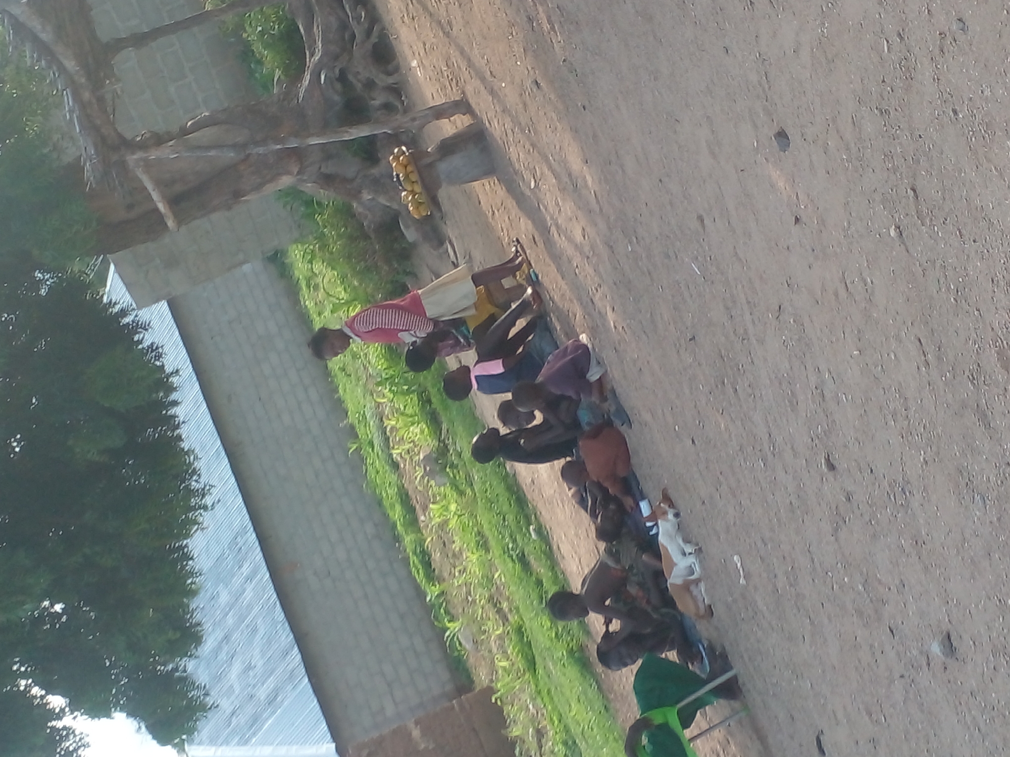 In an outdoor setting with a dirt ground, several children and a dog are gathered. A young woman stands to the right of the group of children, wearing a pink and white striped shirt and a light-colored skirt. She appears to be observing the children. Some of the children are seated on the ground, while others are lying down. A small, brown and white dog is sleeping on the ground in front of the seated children. In the background, there is a building with a corrugated metal roof and a brick wall. A tree with rough bark stands to the right of the image, and a rustic wooden structure is built around its base. On a small, elevated stone platform near the tree, a tray of yellow fruit, possibly oranges or lemons, is displayed. The environment is rustic and appears to be a rural or semi-urban area.